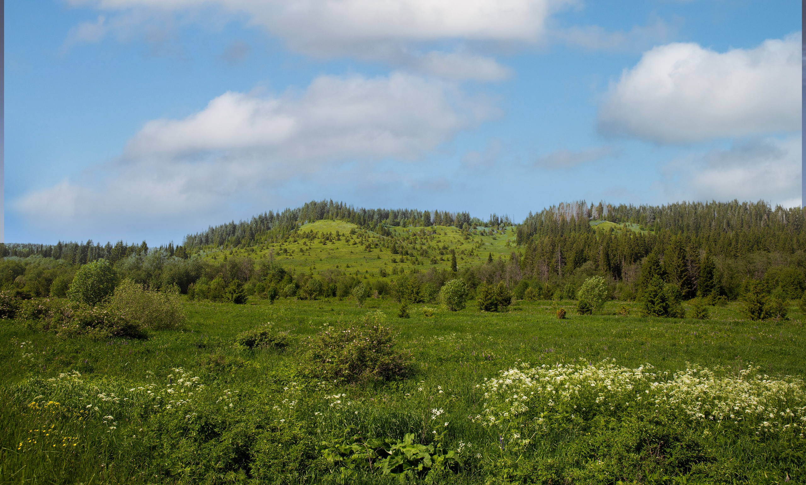 Пермь- Хохловка-Белогорье. Мой фотомир