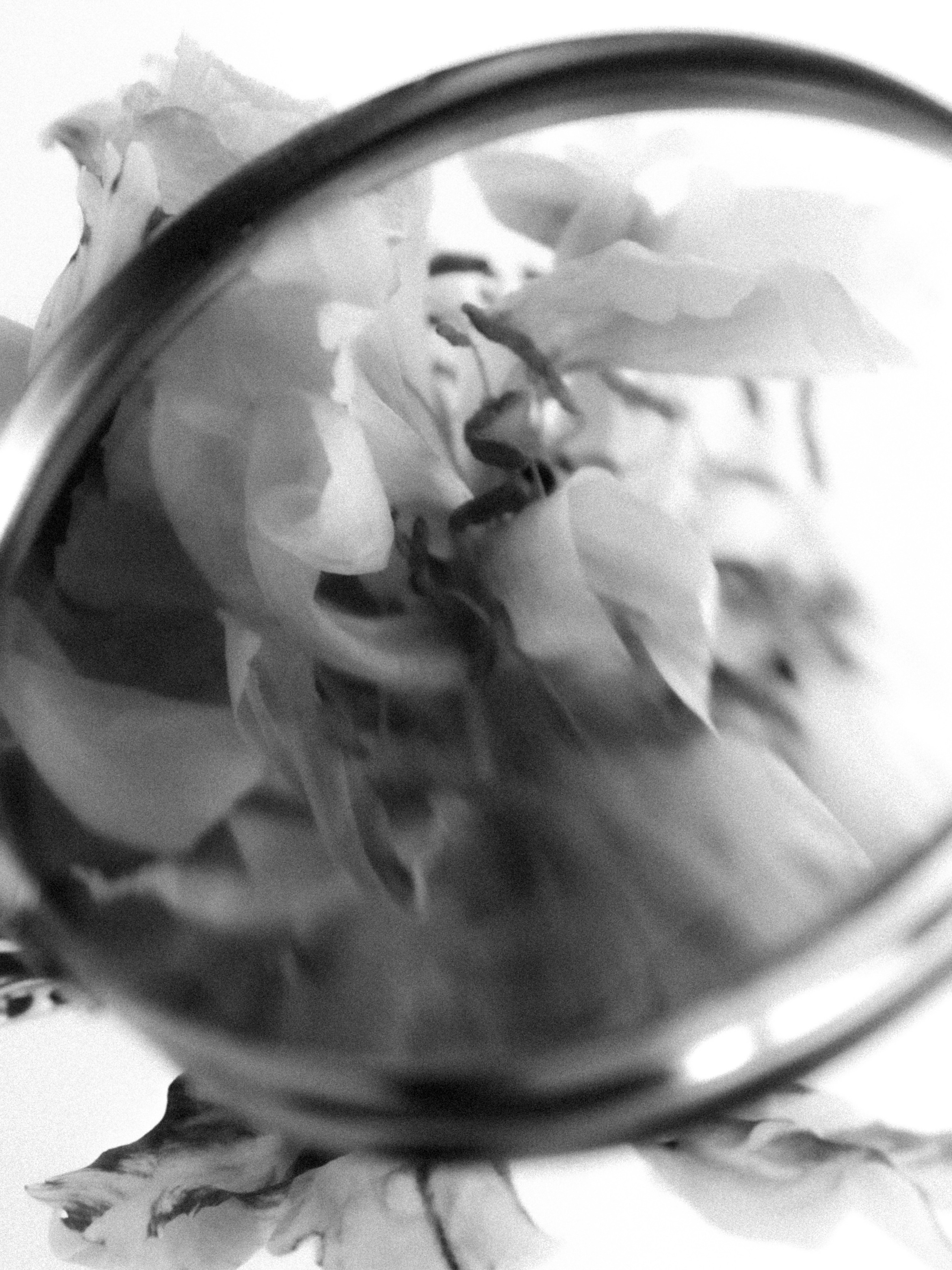 DYING BEAUTY. Фотограф Москва Грошева Софья