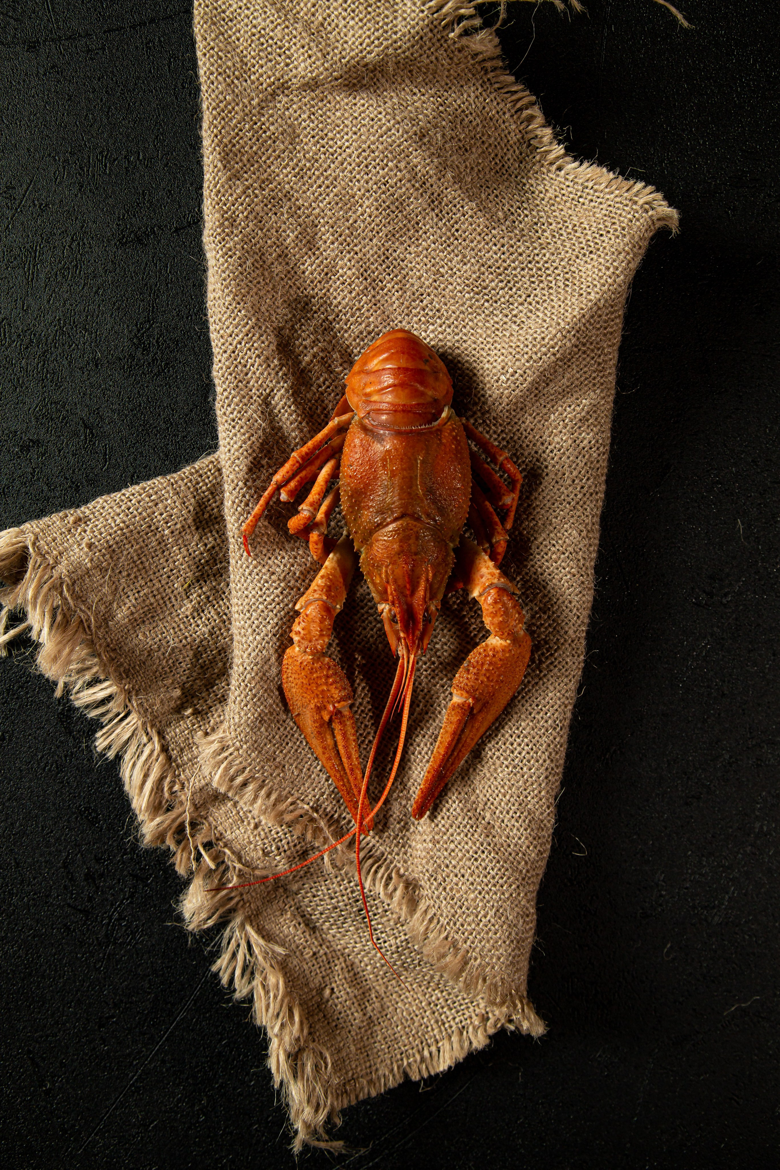 Предметкая и фуд фотография