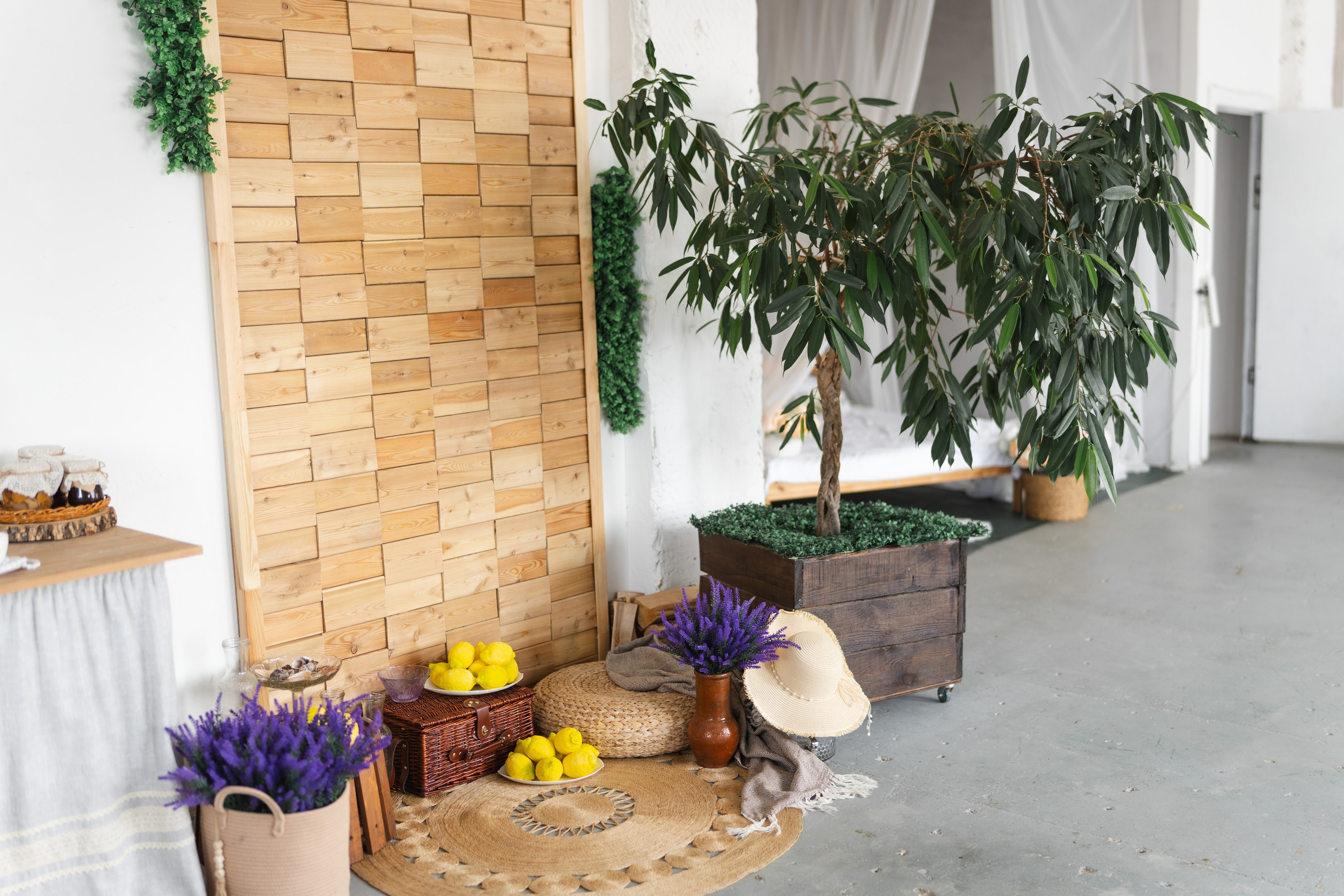 Зал Life фотостудия Импульс. Фотостудия в Саратове. Фотограф в Саратове