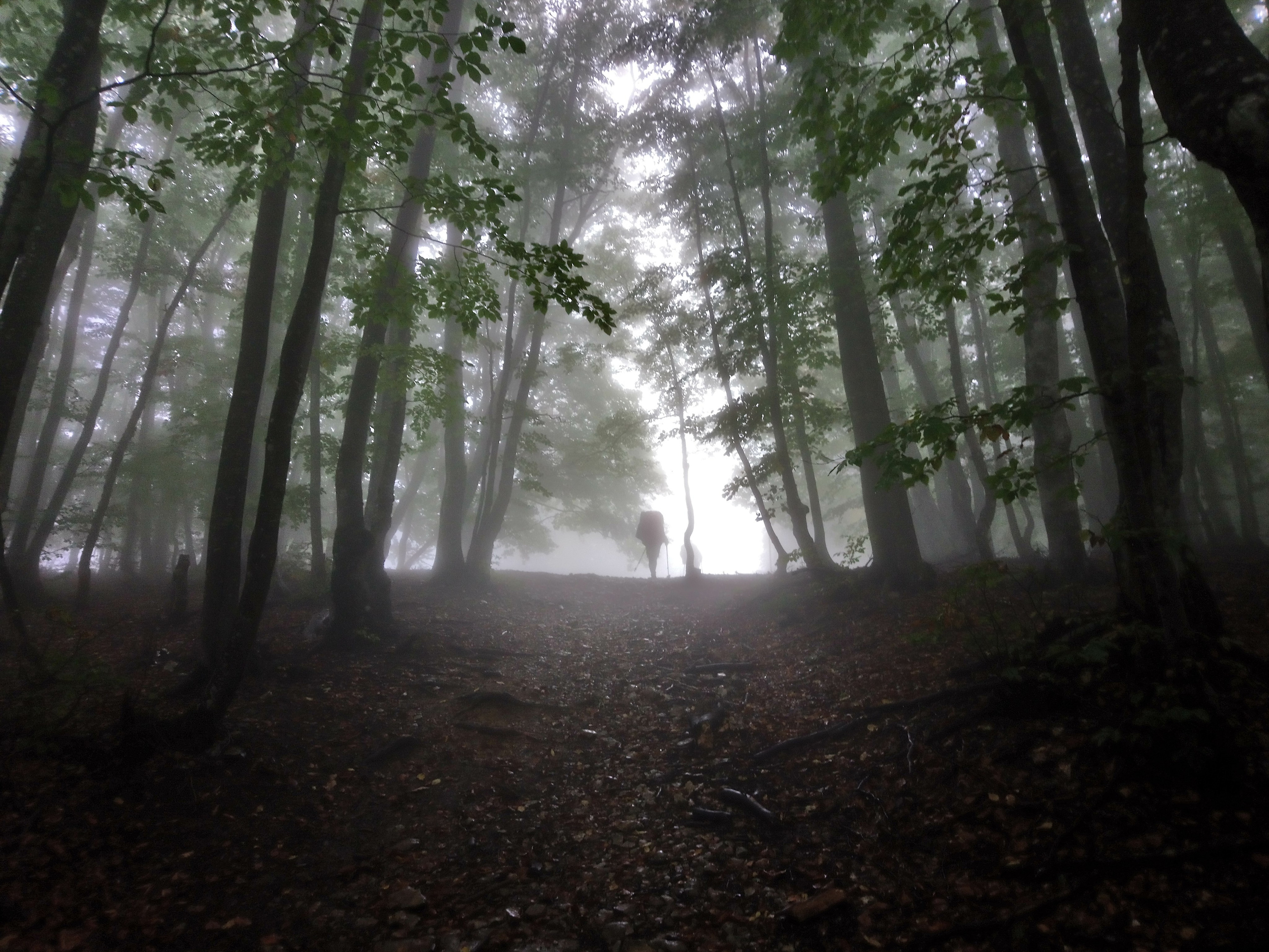 Travel. Индивидуальная и семейная съёмка. Москва, Наталья Самохвалова