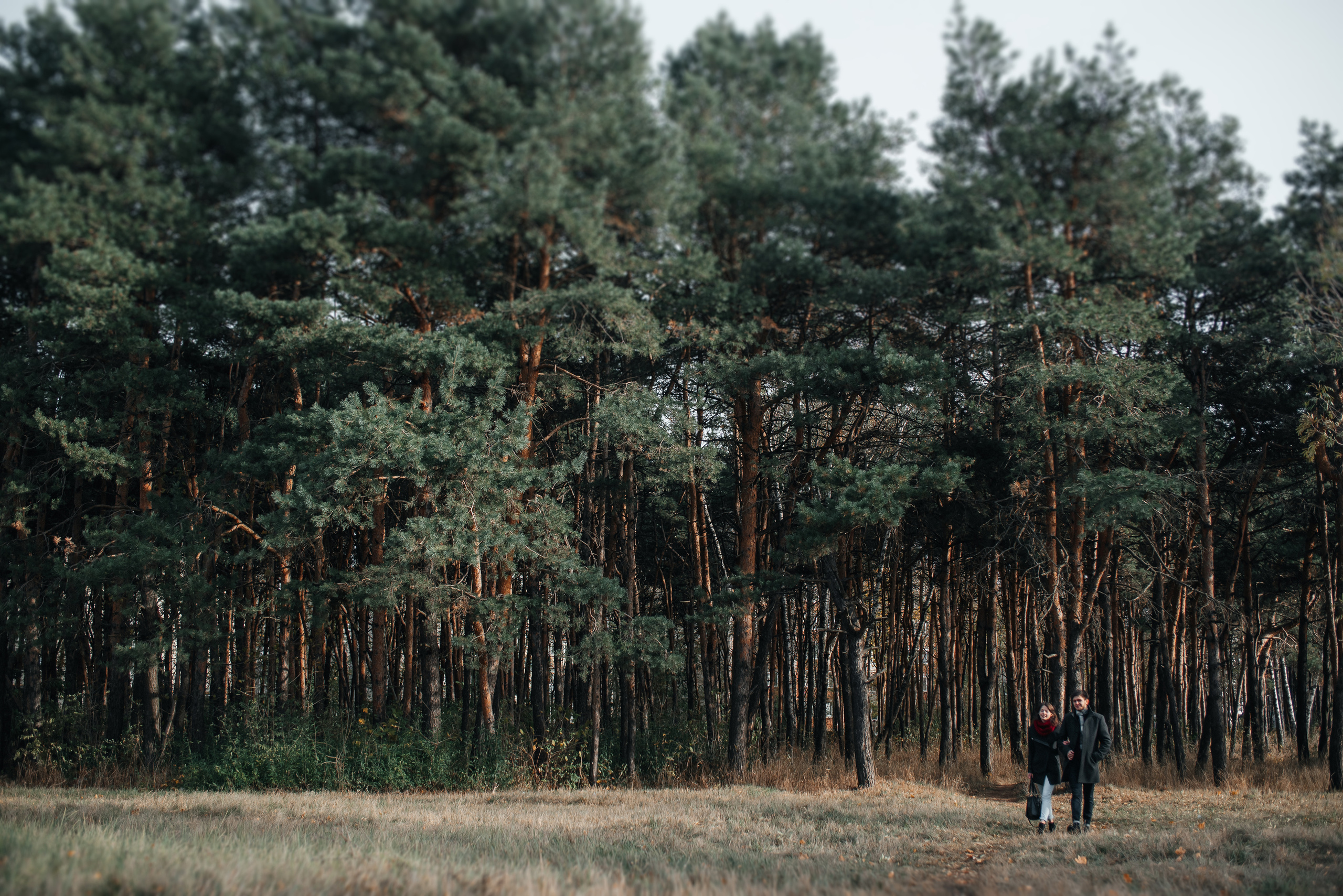 фотограф Кривогузов Вячеслав 