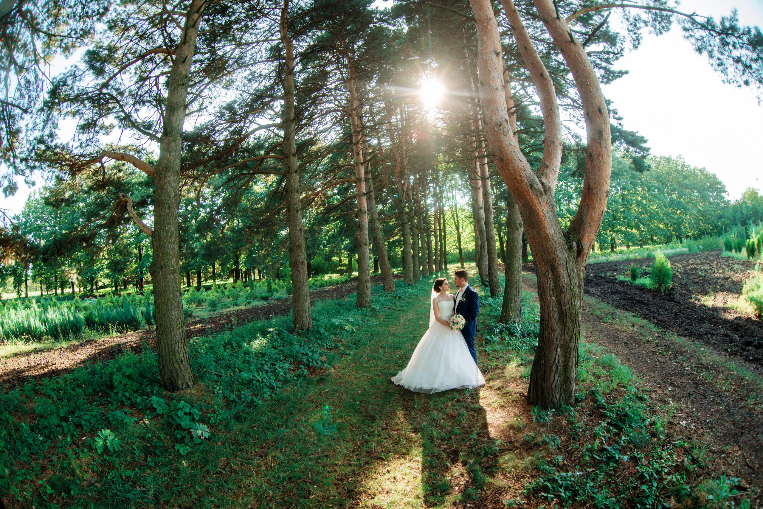 ботанический сад Ставрополь фотограф Ставрополь 