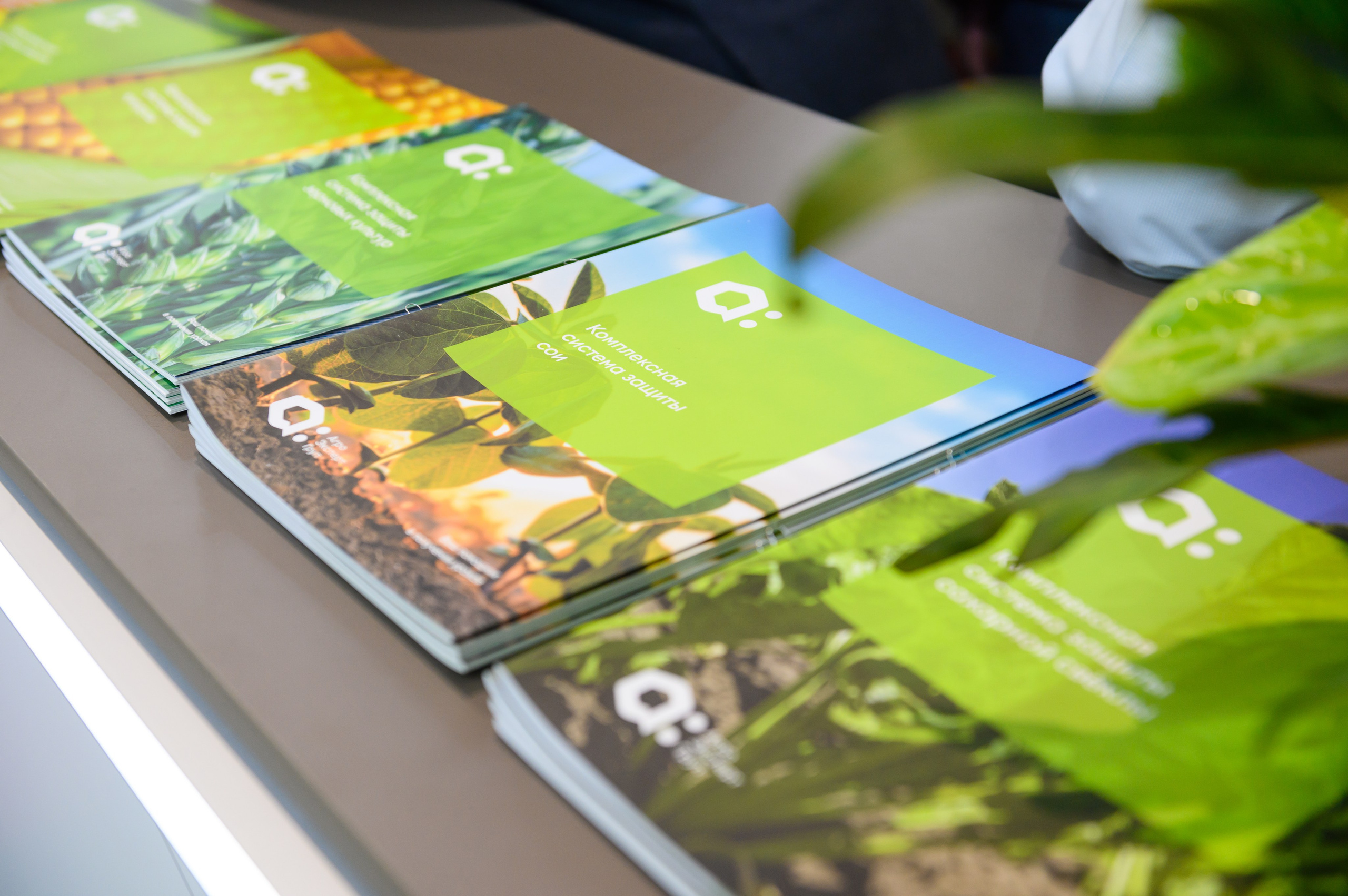 Проекты. Профессиональный фотограф Вячеслав Плацында | Липецк |