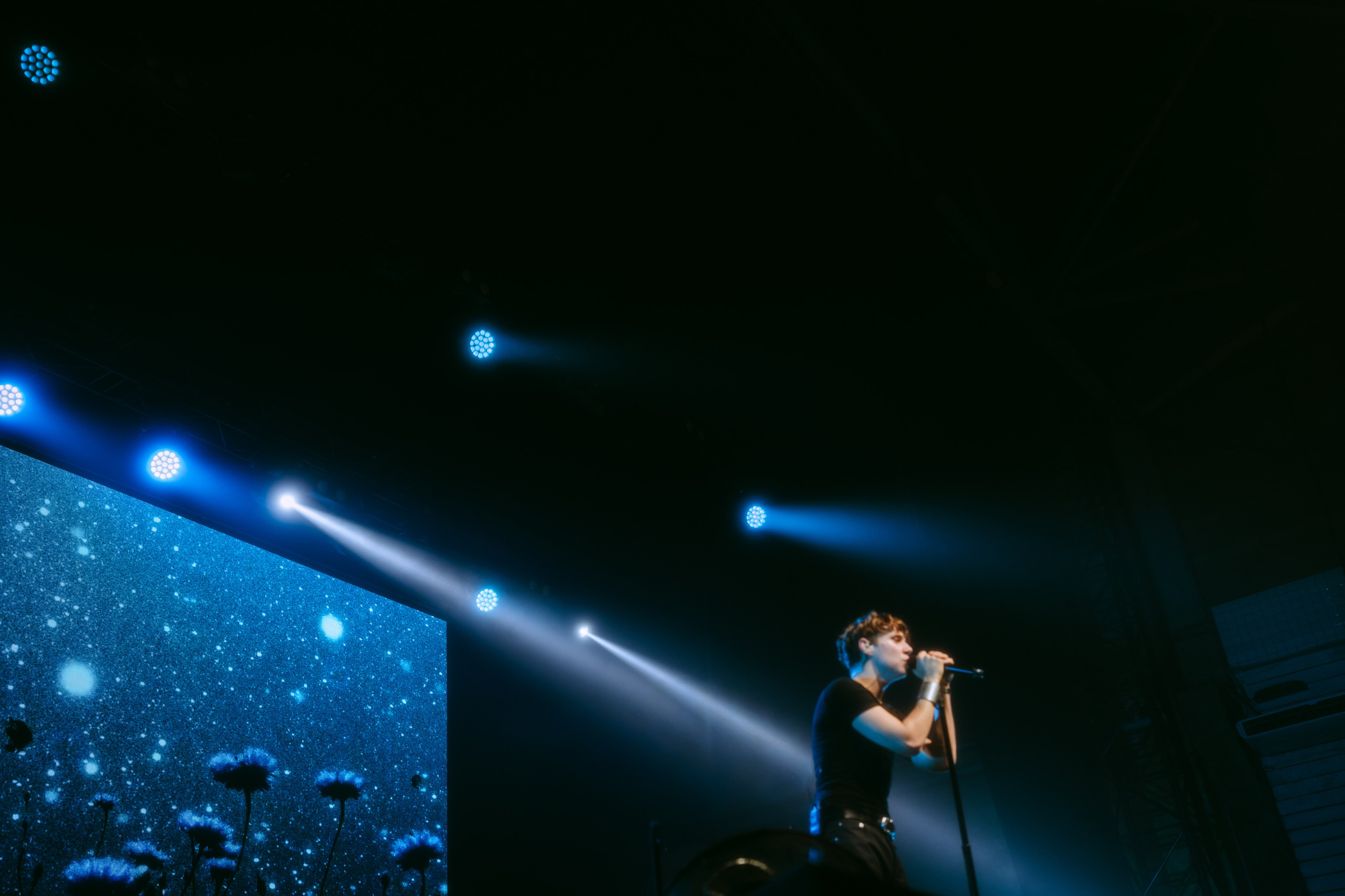 Ваня Дмитриенко. Свадебный фотограф в Санкт-Петербурге Марина Фесенко