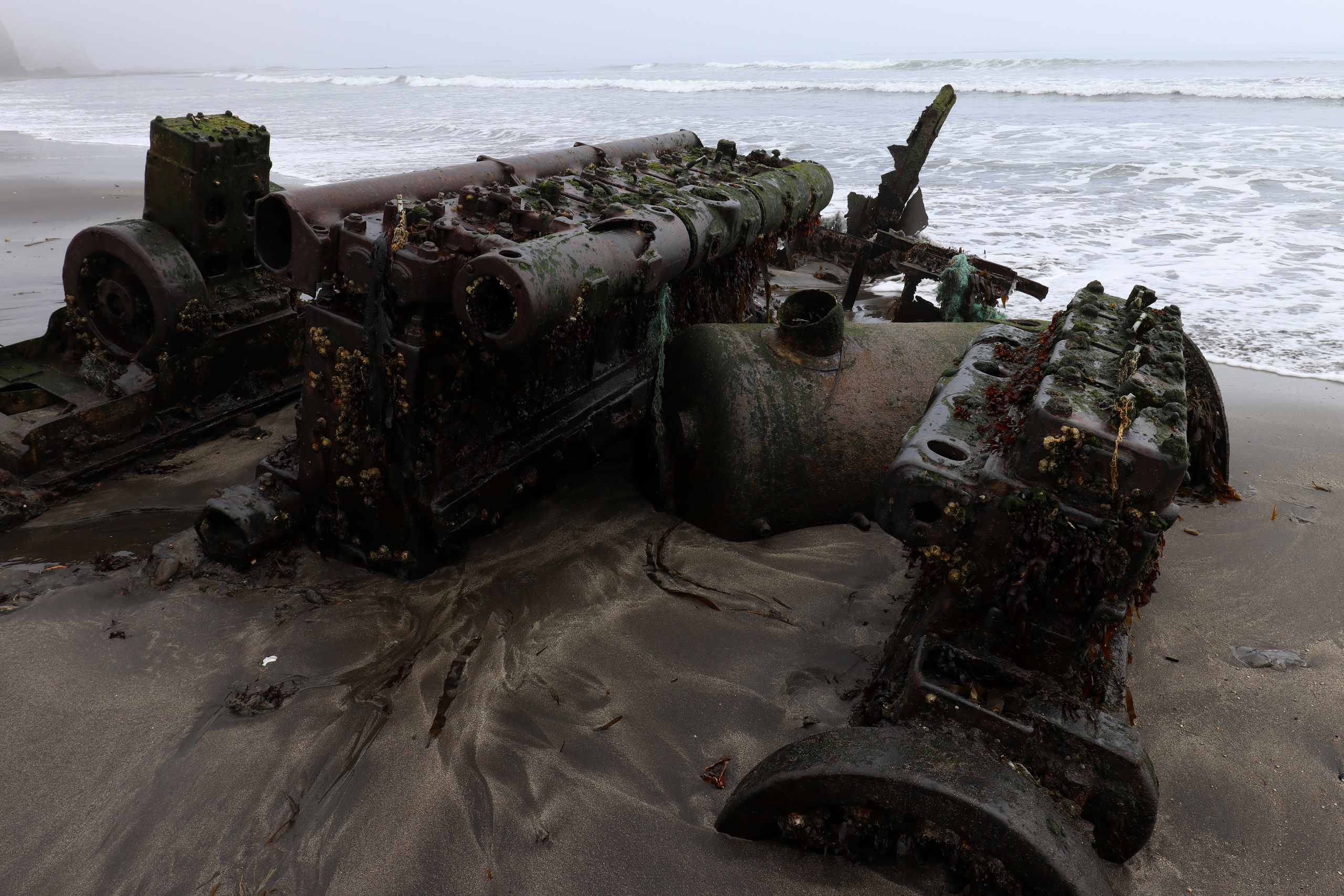 Камчатка и о. Парамушир. Июль 2024. Путешественник-фотограф из Санкт-Петербурга Татьяна Свистулина