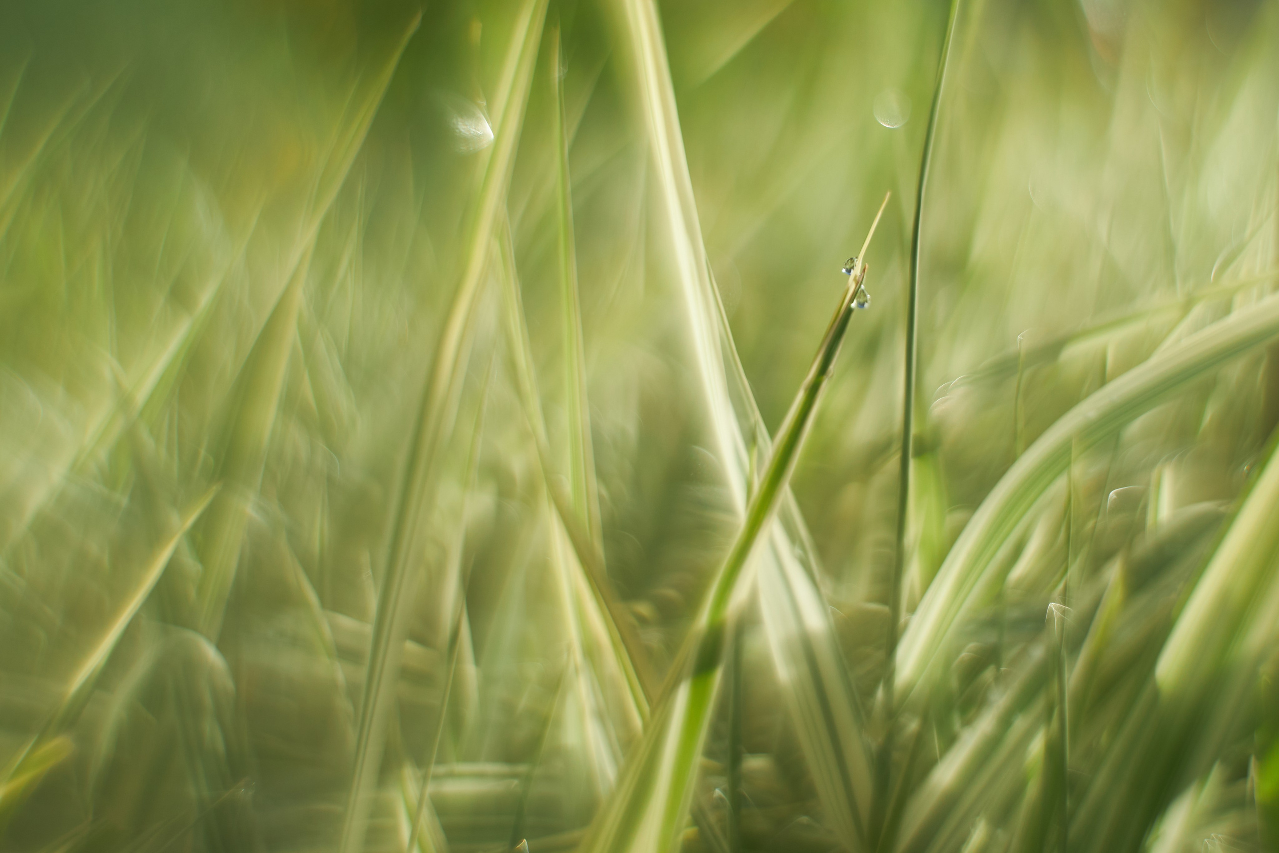 «Незримые Миры». Арт-фотограф во Владивостоке Дмитрий Осипчук