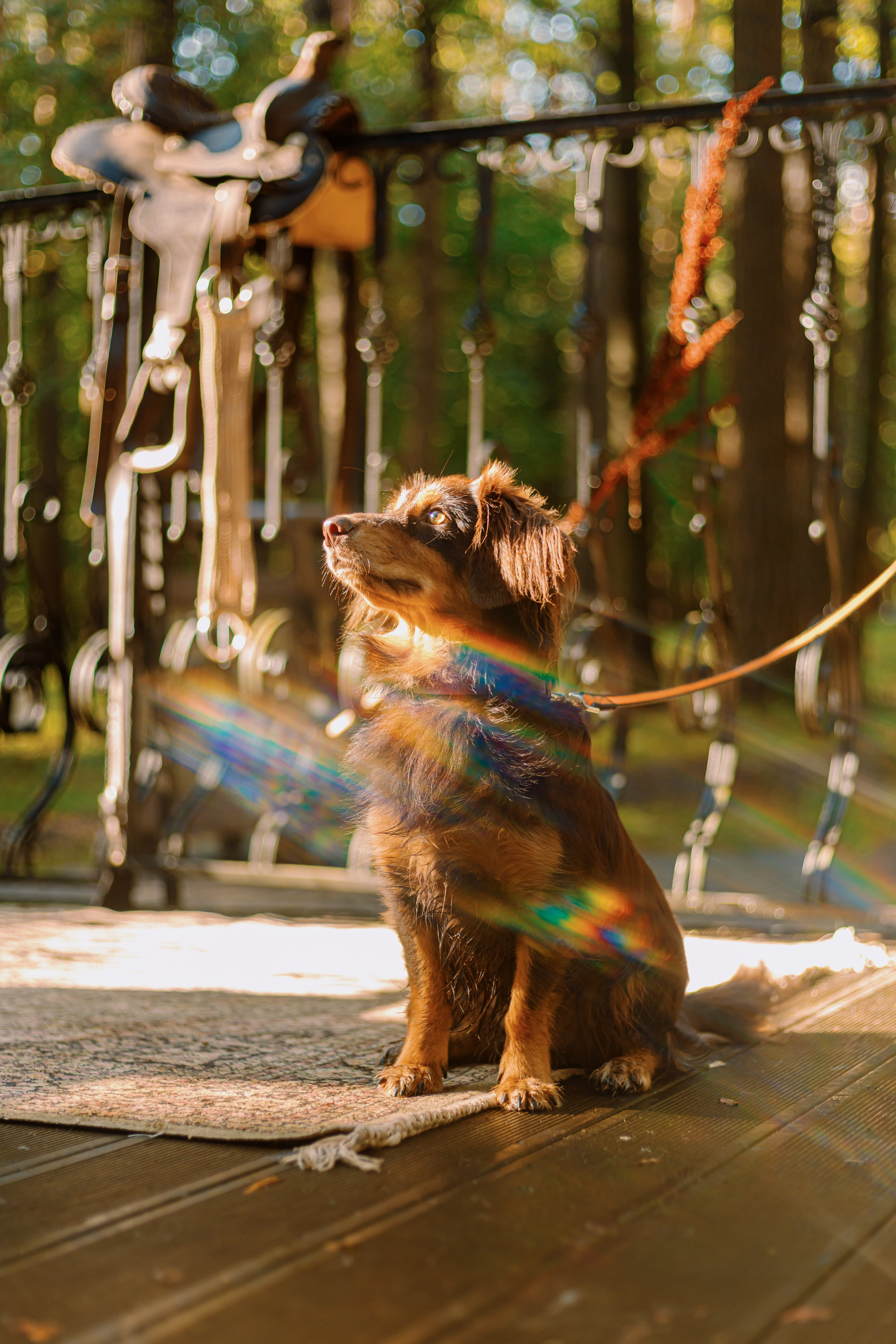 МНЕ В САПОГ ЗАПОЛЗЛА ЗМЕЯ!