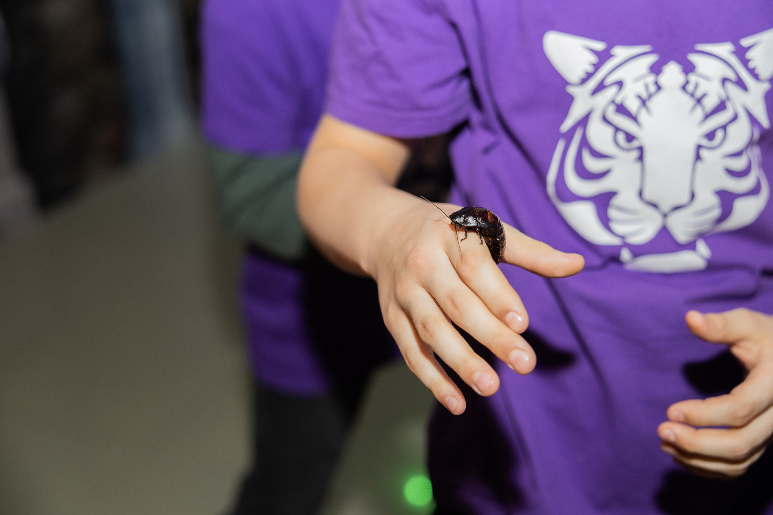 Дети. Свадебный фотограф