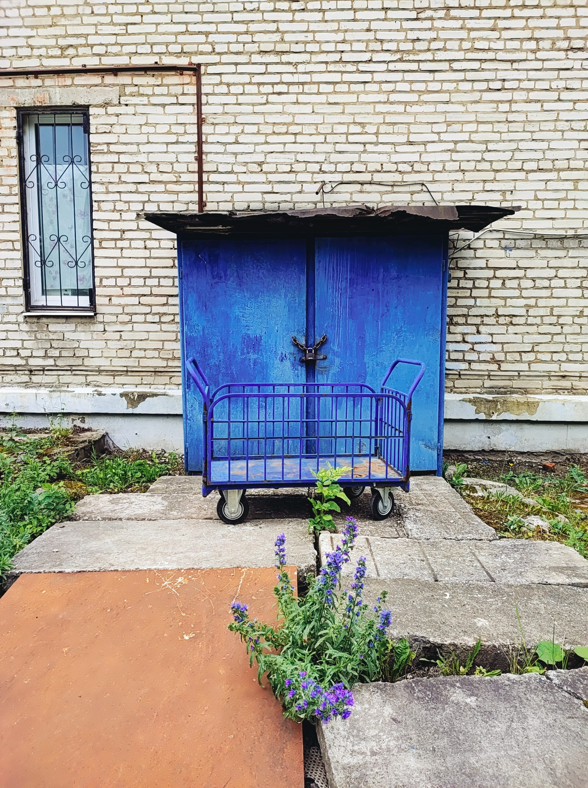 Намобилкус тульский. Репортажный фотограф Алексей Пирязев