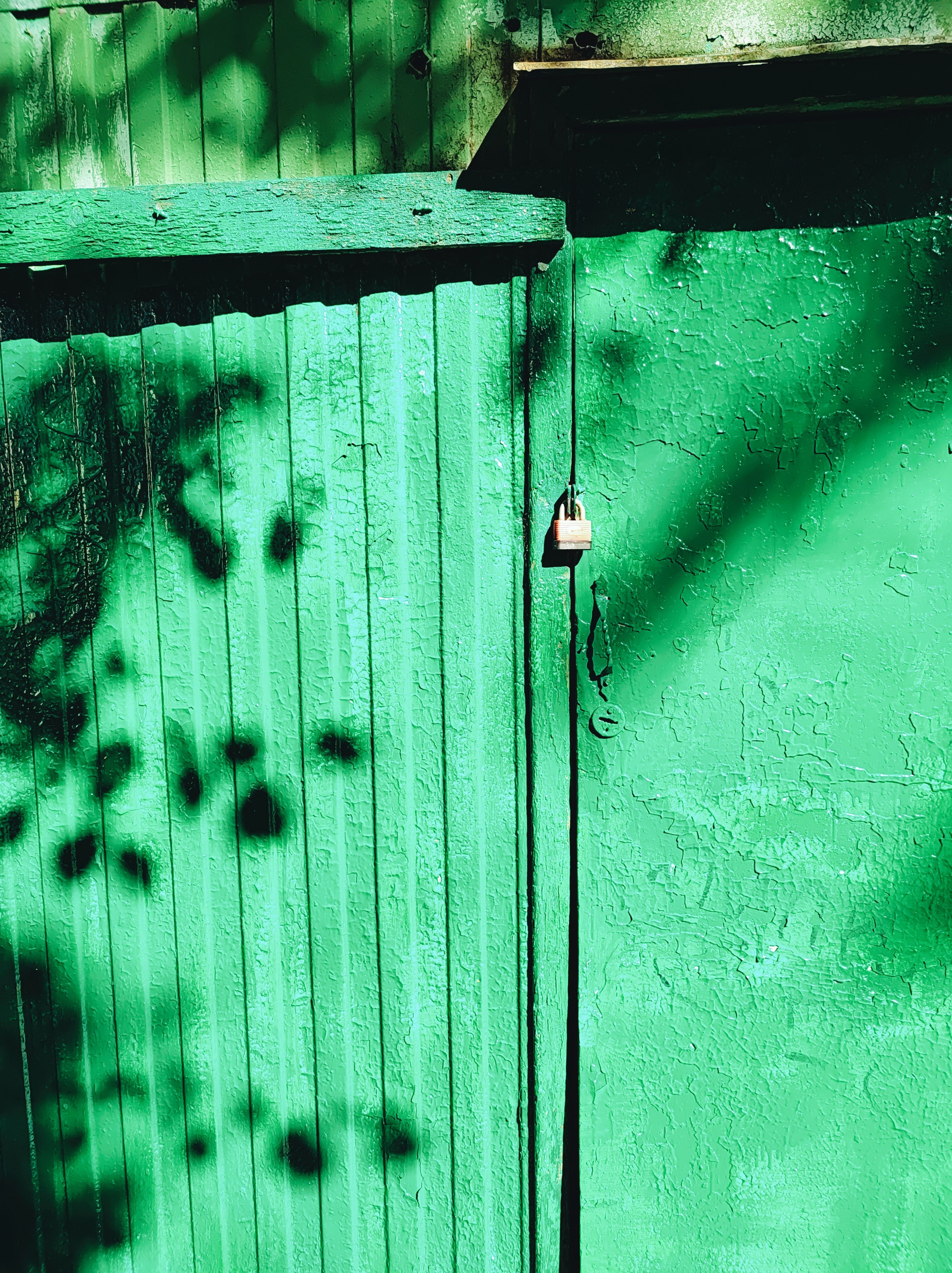 Намобилкус питерский. Репортажный фотограф Алексей Пирязев