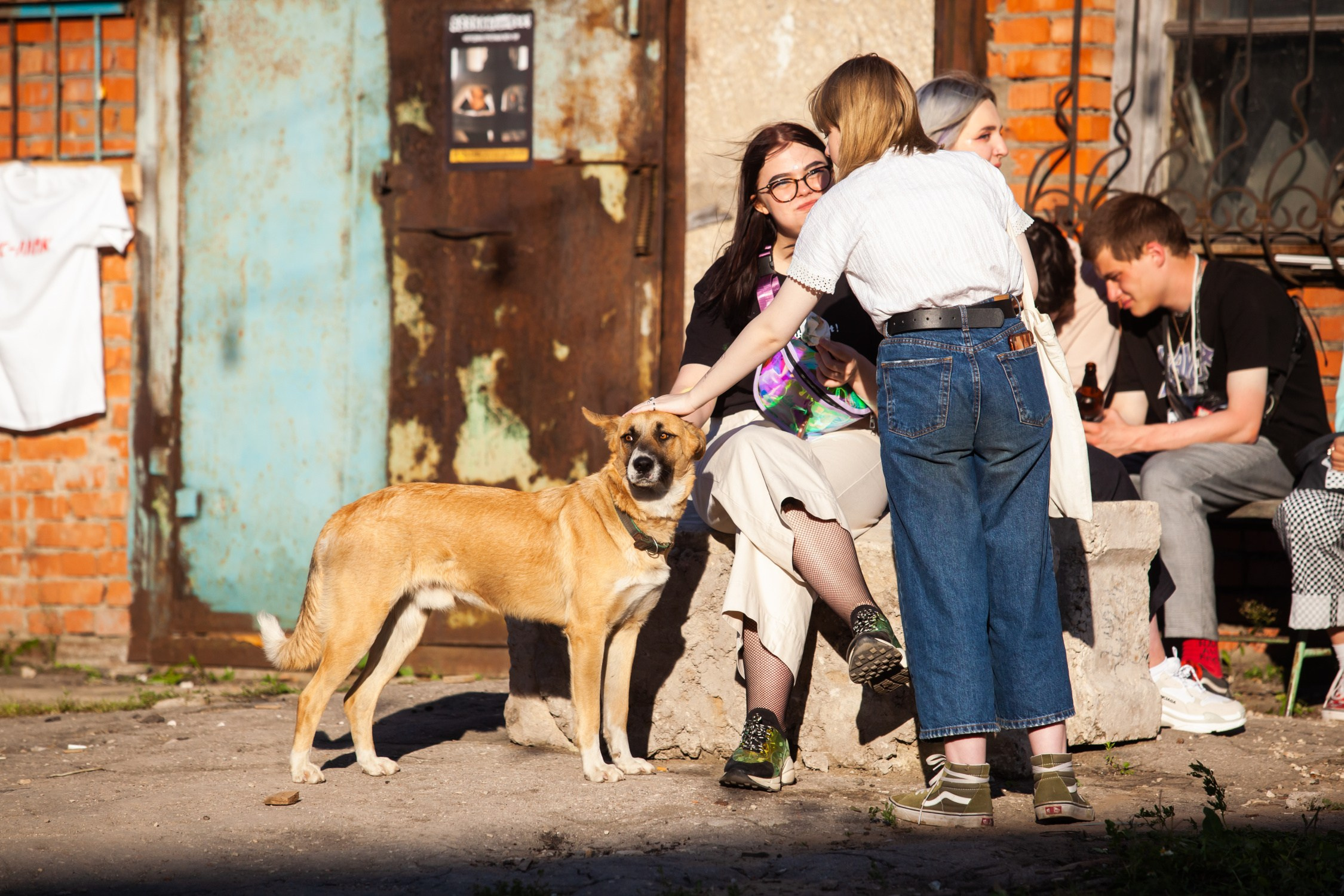 Музыкальный фестиваль «Версия» (24 августа 2019). Репортажный фотограф Алексей Пирязев
