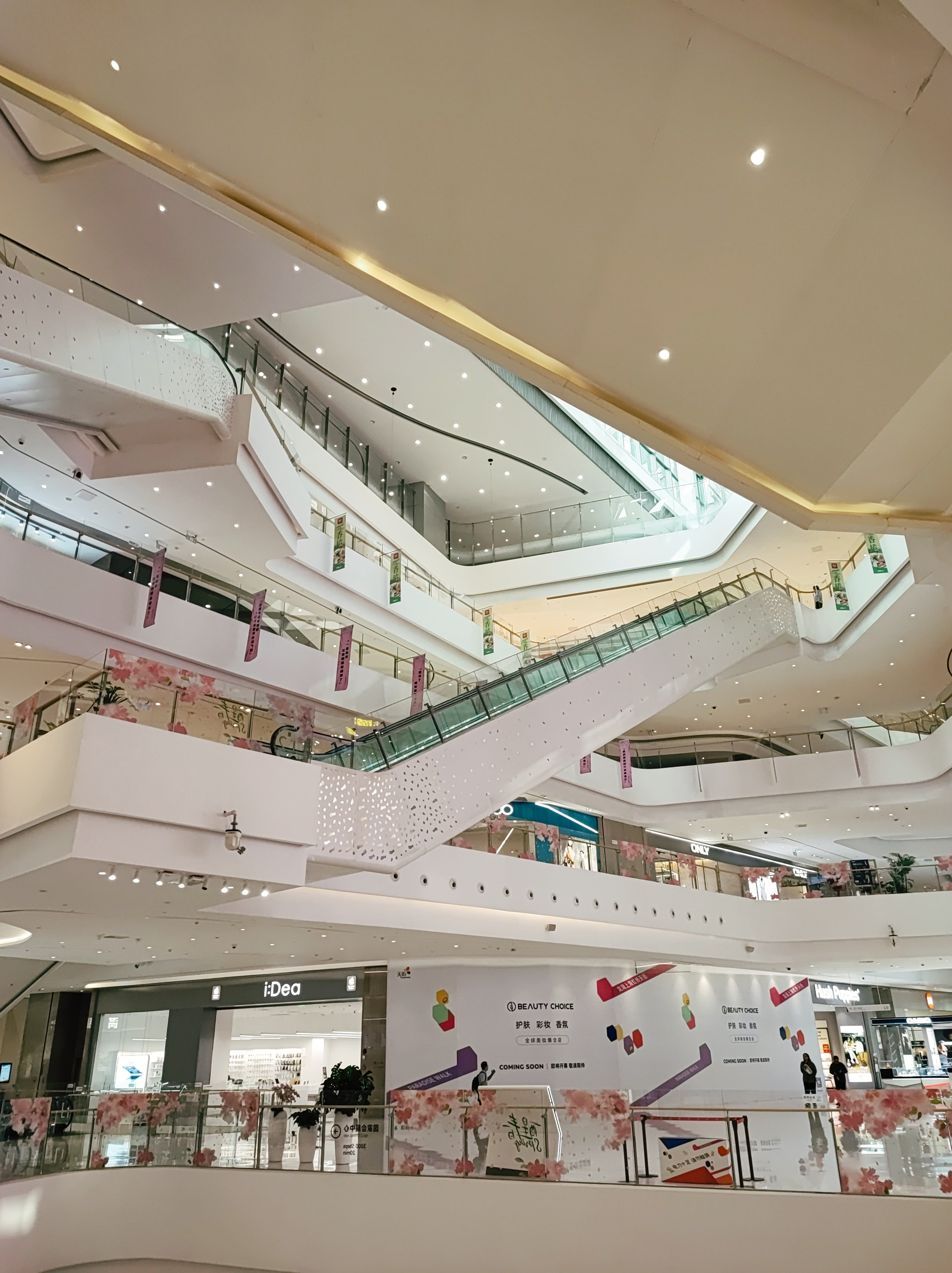 Намобилкус китайский. Репортажный фотограф Алексей Пирязев