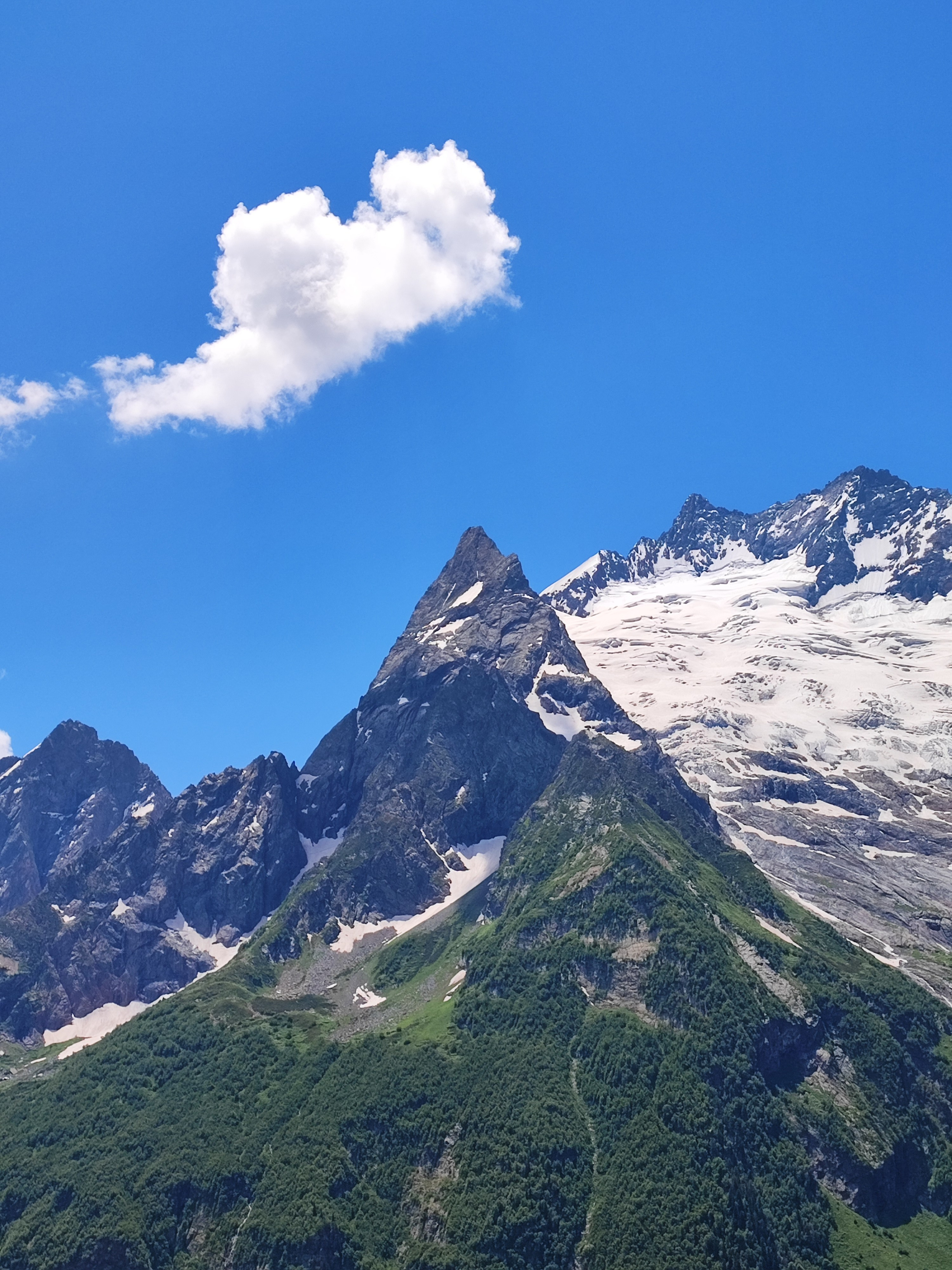 Намобилкус кавказский. Репортажный фотограф Алексей Пирязев