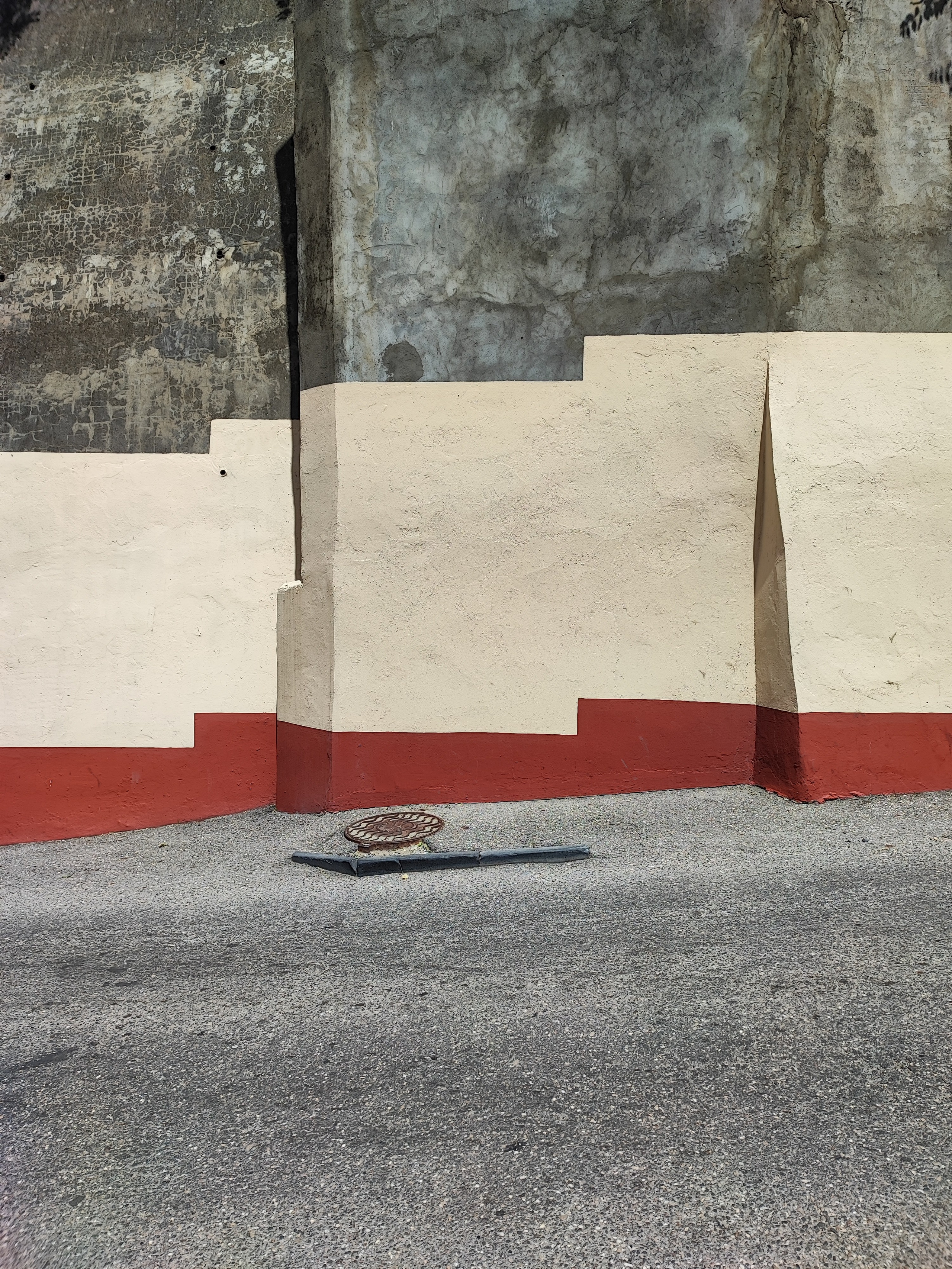 Намобилкус кавказский. Репортажный фотограф Алексей Пирязев