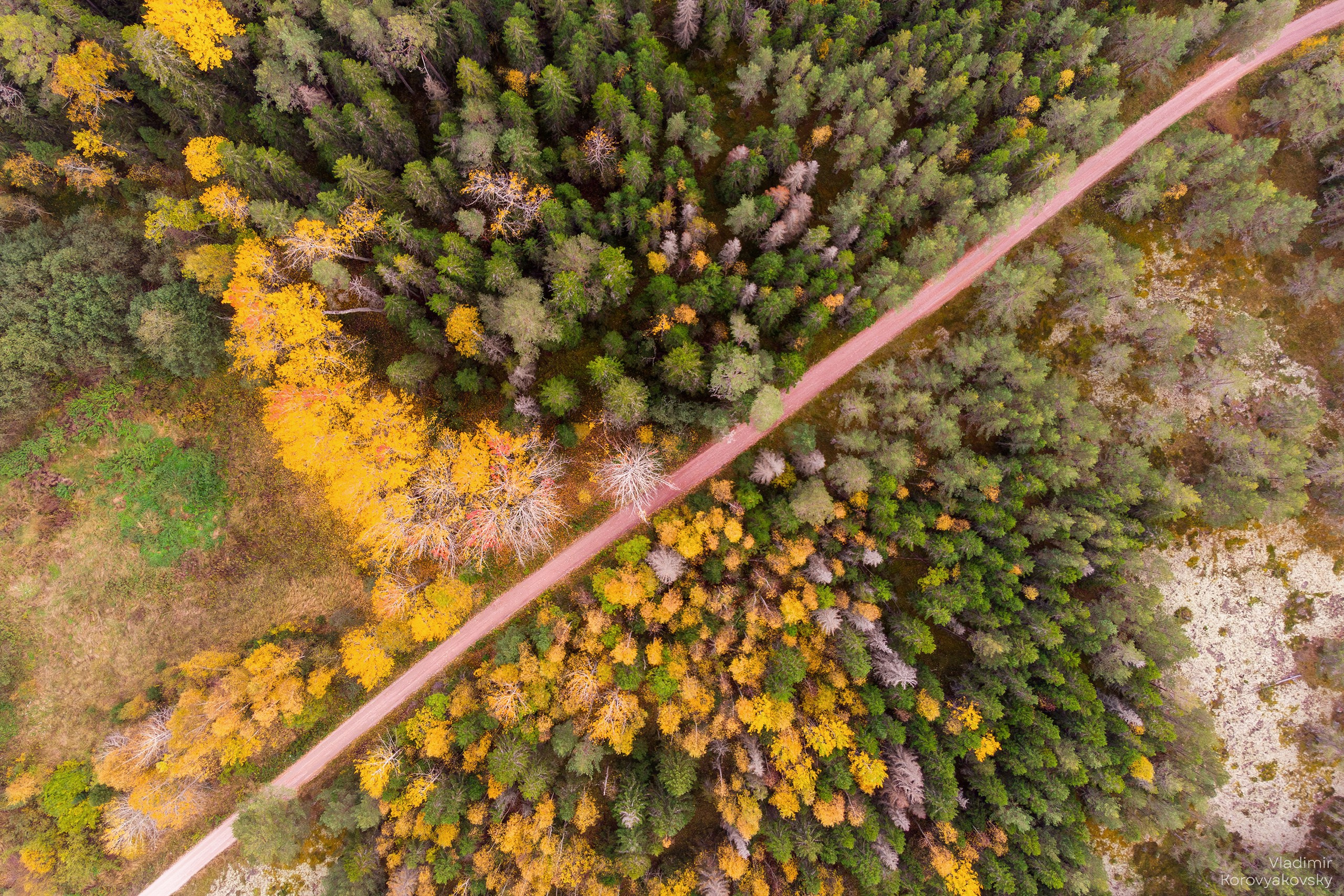 Nature. Photographer Vladimir Korovyakovsky