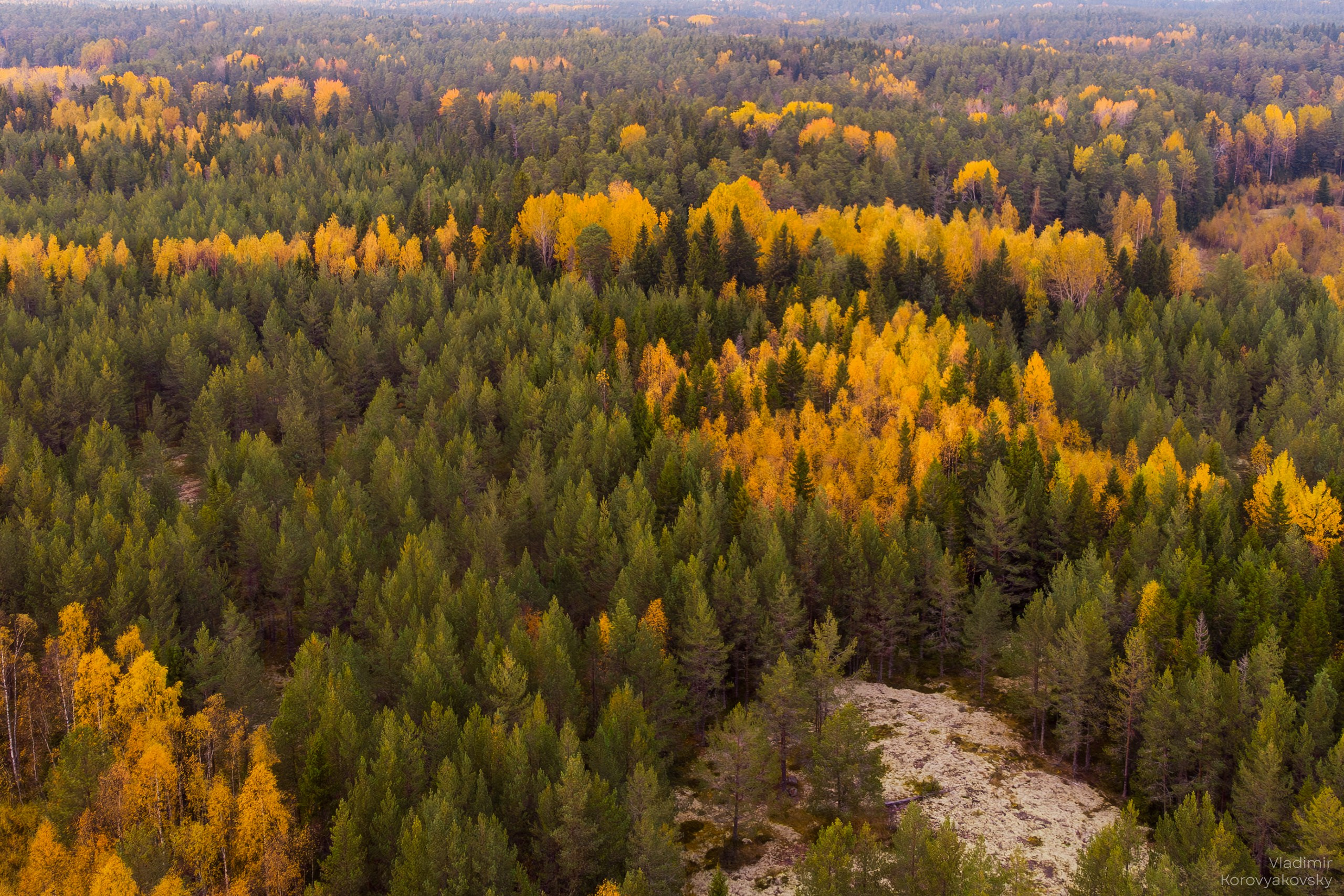 Nature. Photographer Vladimir Korovyakovsky