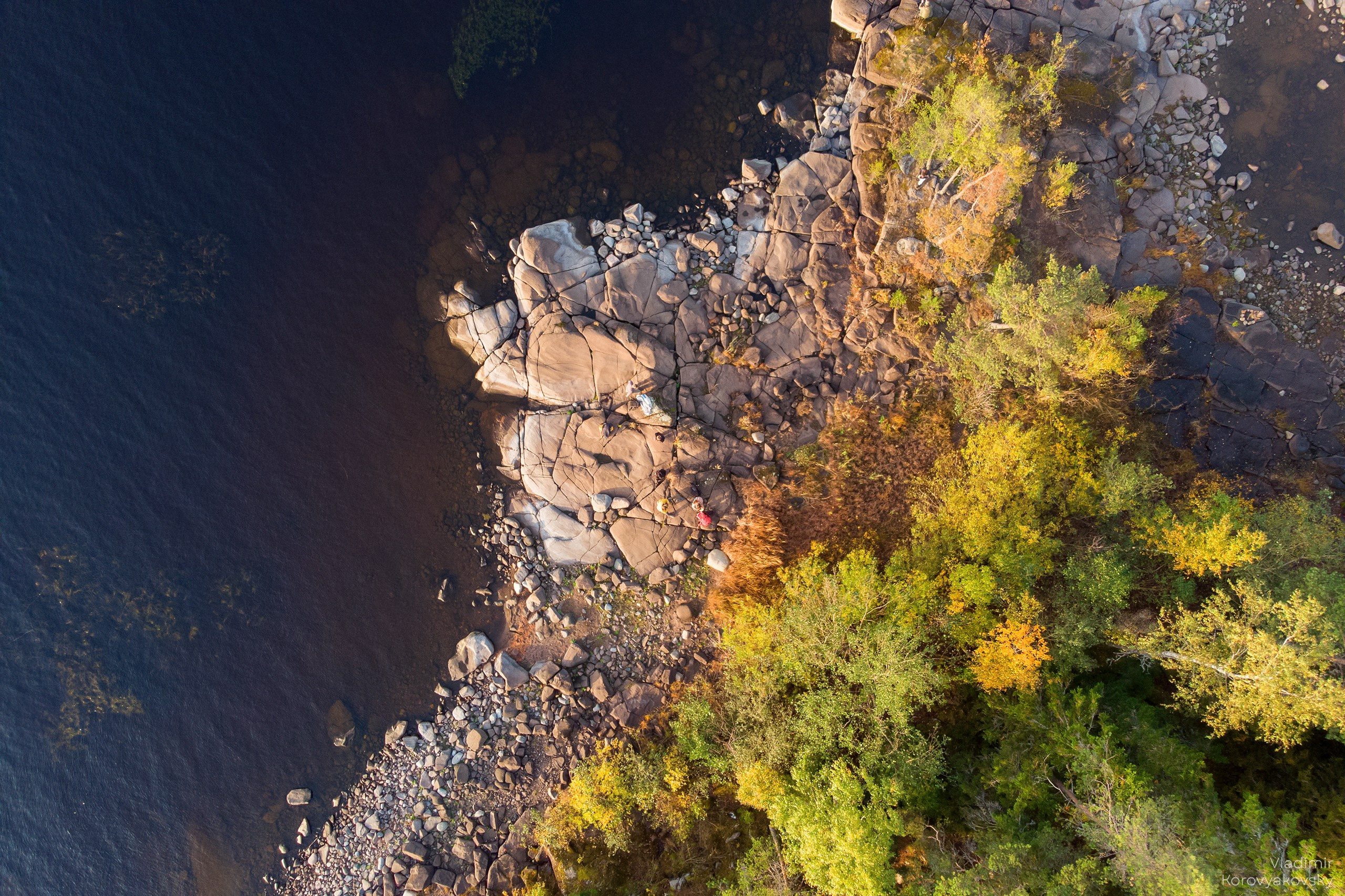 Nature. Photographer Vladimir Korovyakovsky