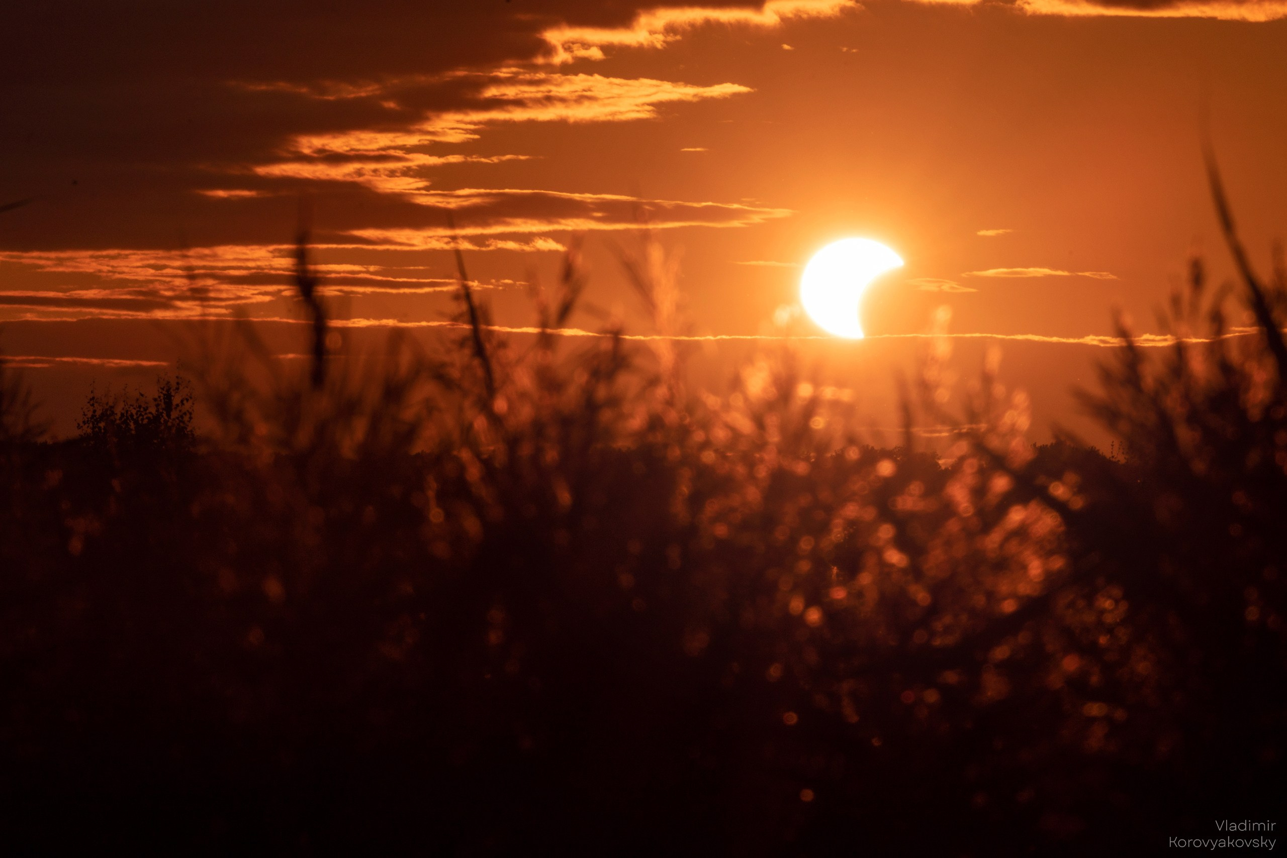 Nature. Photographer Vladimir Korovyakovsky