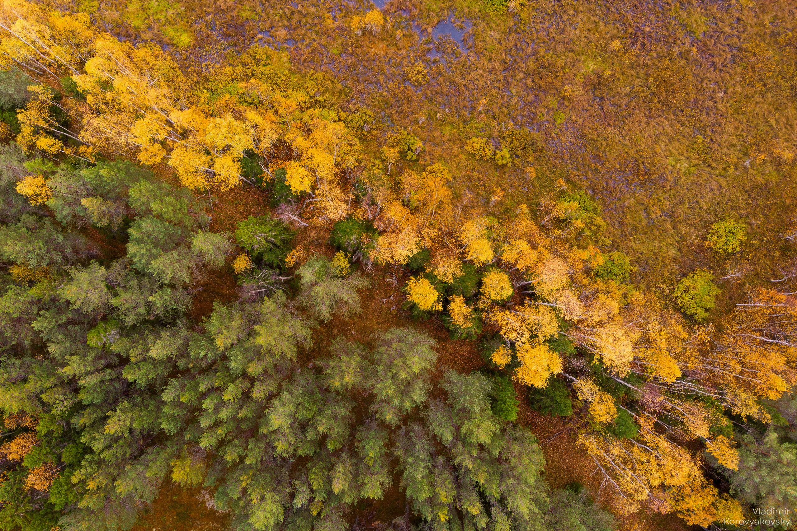 Nature. Photographer Vladimir Korovyakovsky