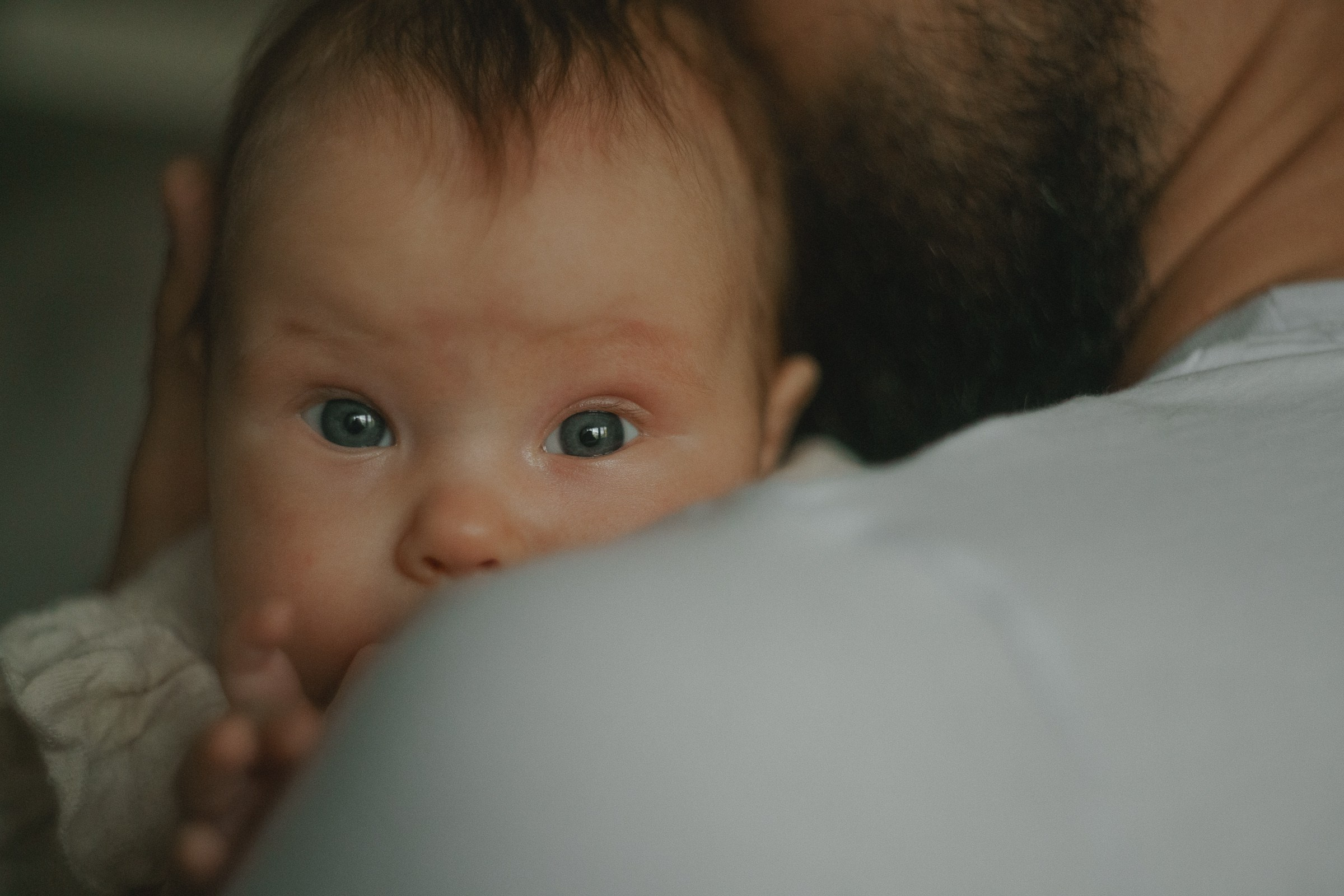 Там где кошки поют…. Свадебный и семейный фотограф в Абакане Василевский Алексей
