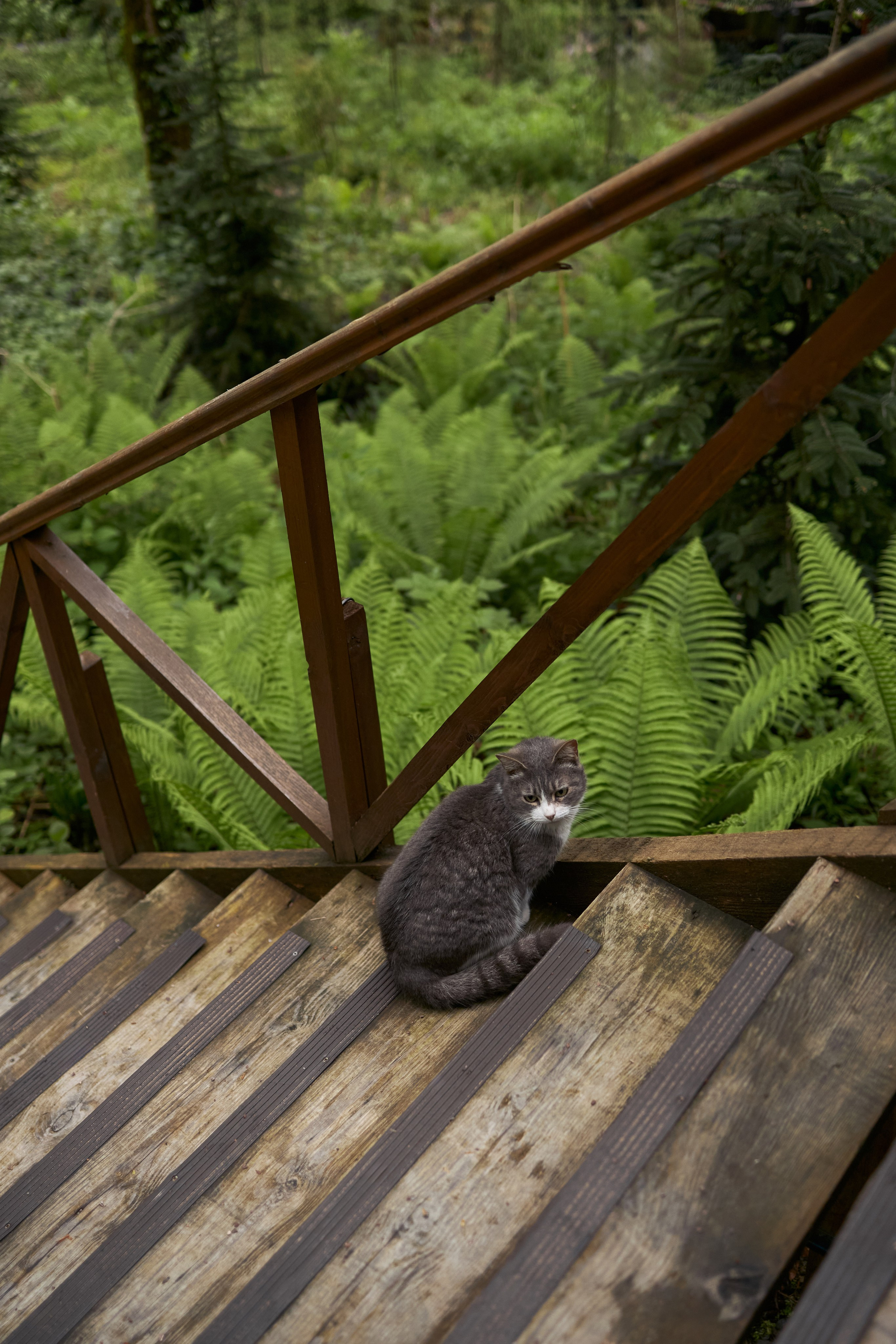 Wedding day | Владислав и Екатерина