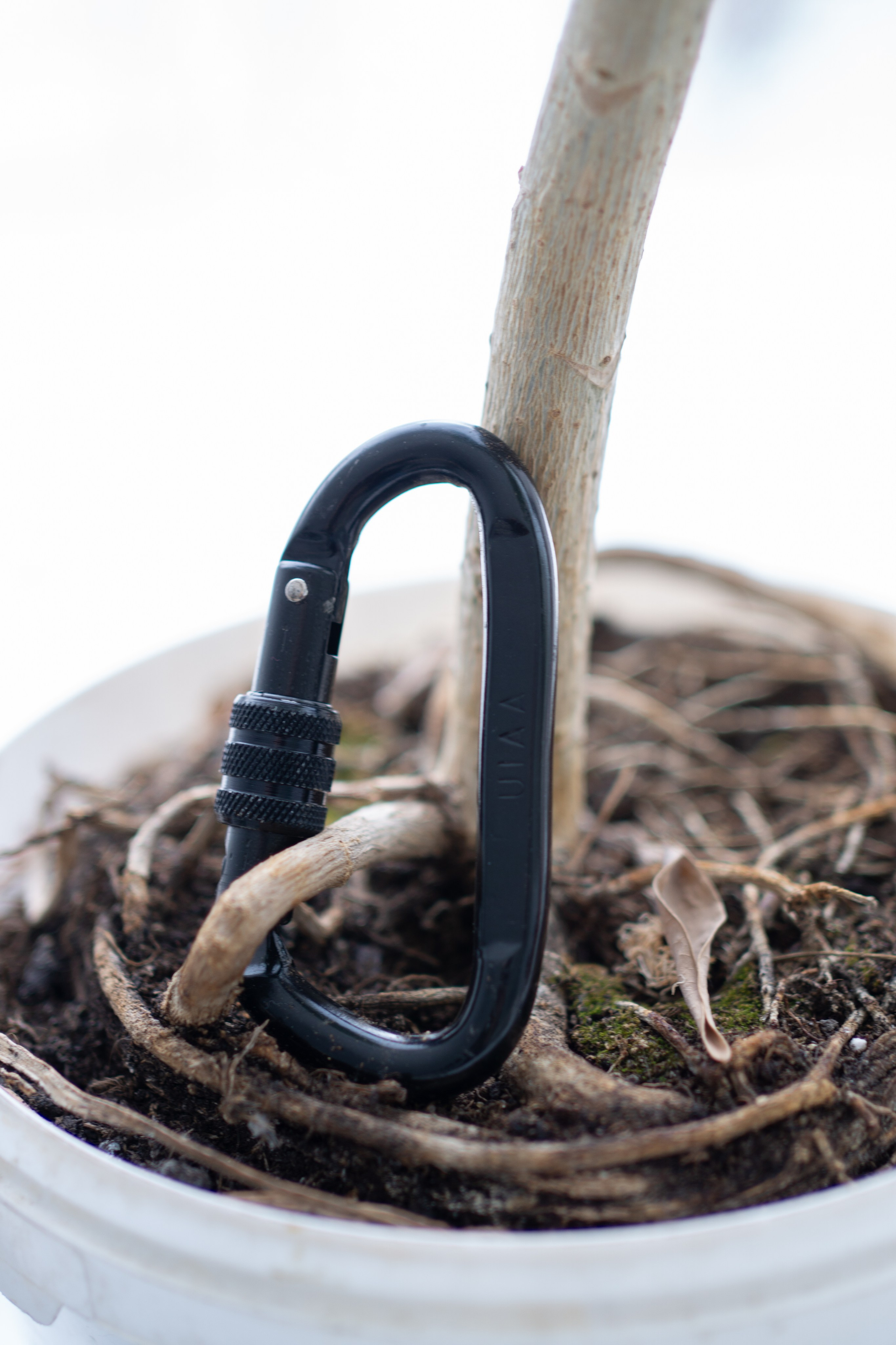 Summer nostalgie. Maria Abdullaeva