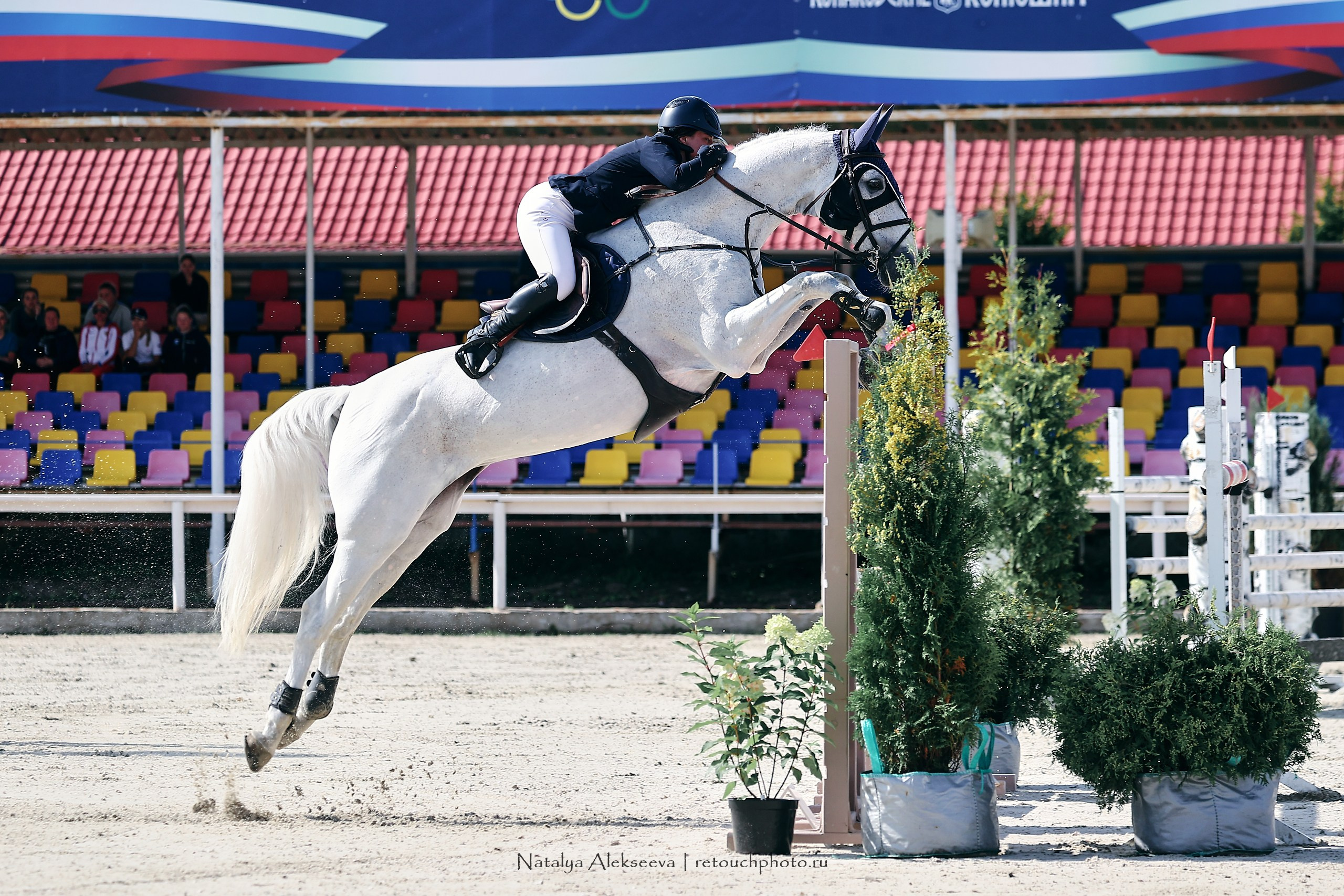 Лично-Командное Первенство России по конкуру, КСК Конаковские конюшни | 08'2023. Репортажный фотограф и ретушер в Москве Наталья Алексеева