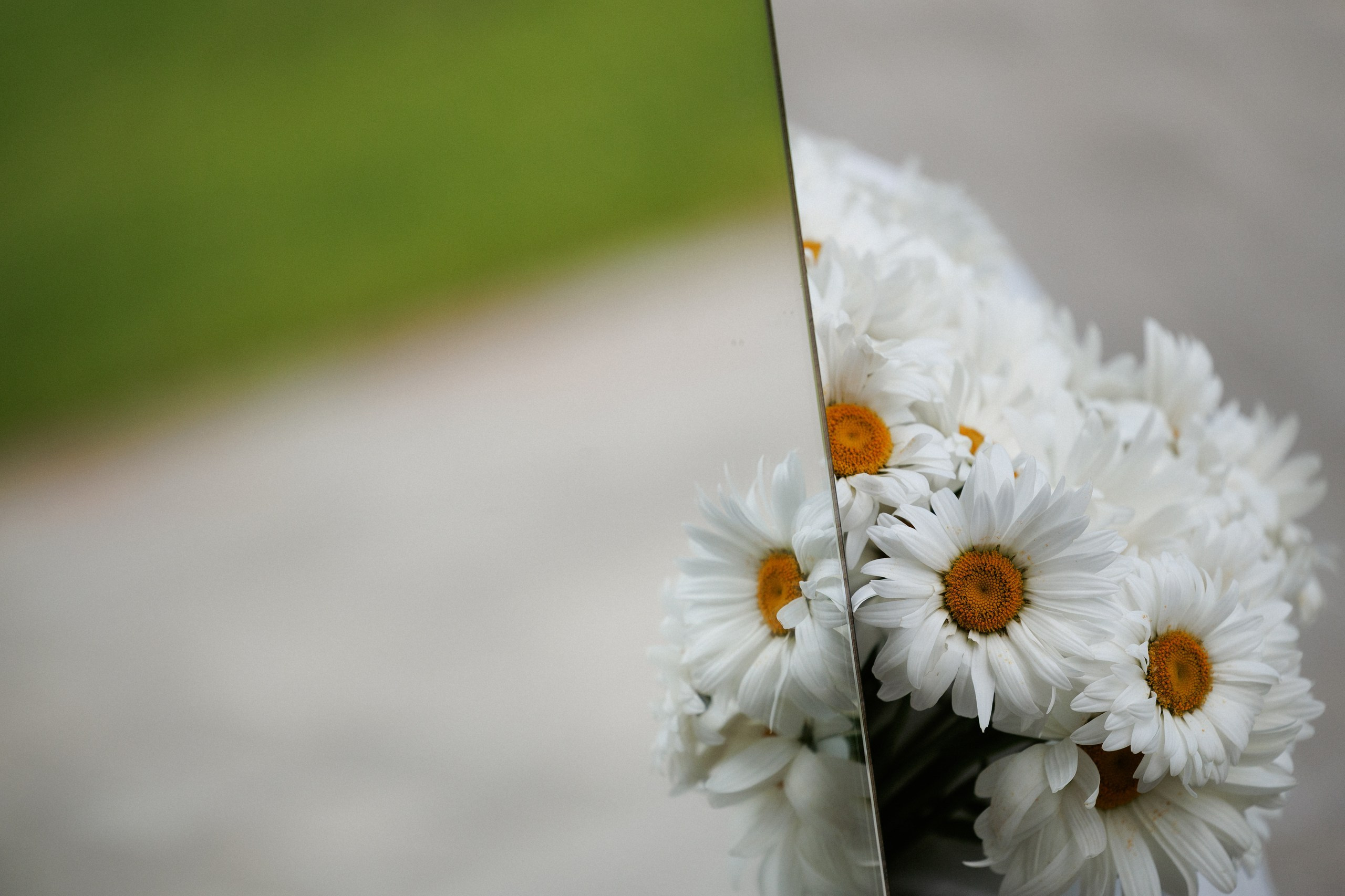 Свадьба под шёпот деревьев. Свадебный и семейный фотограф в Твери, Москве, Санкт-Петербурге