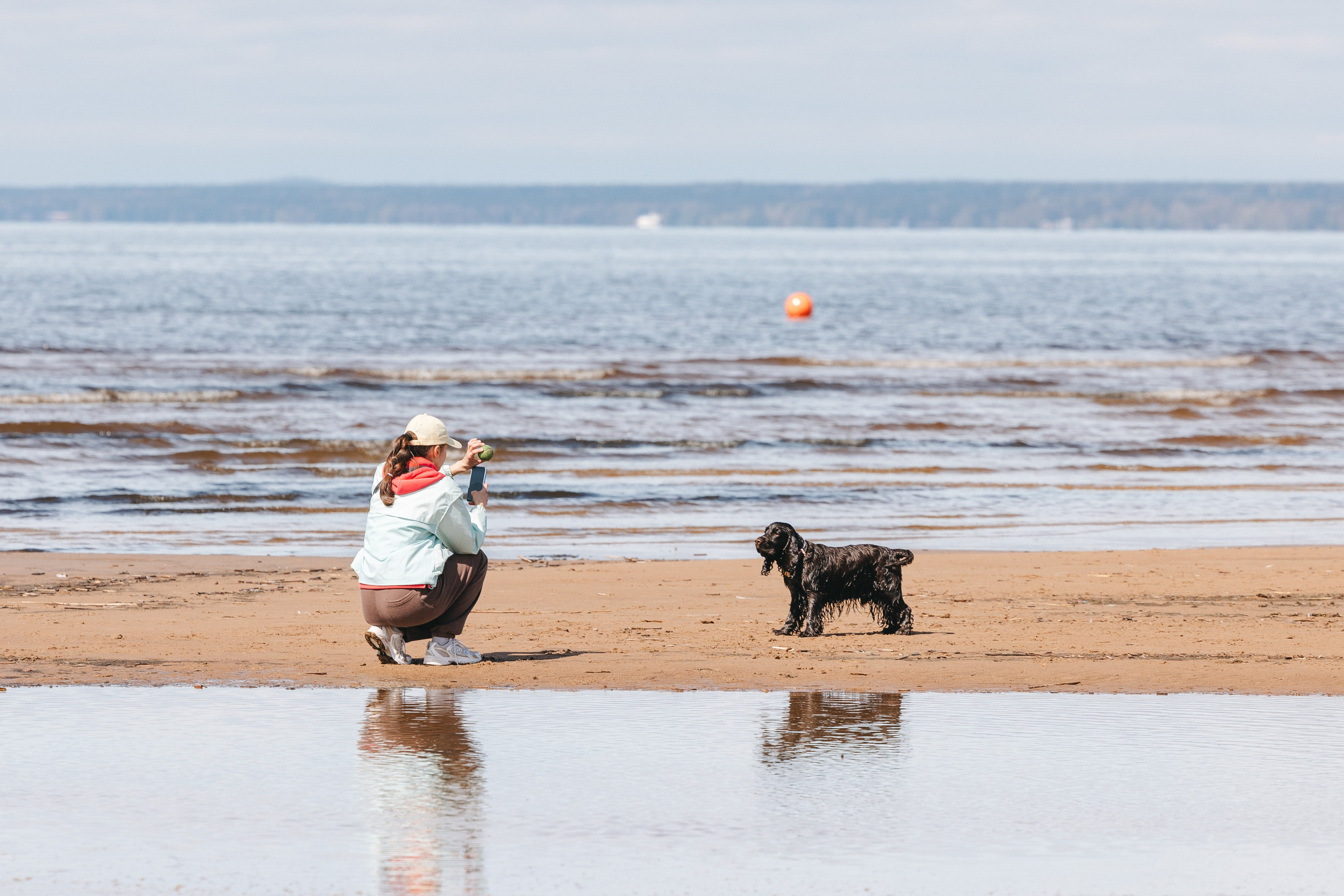 Спанимания. Фотограф анималист Осипчикова Мария