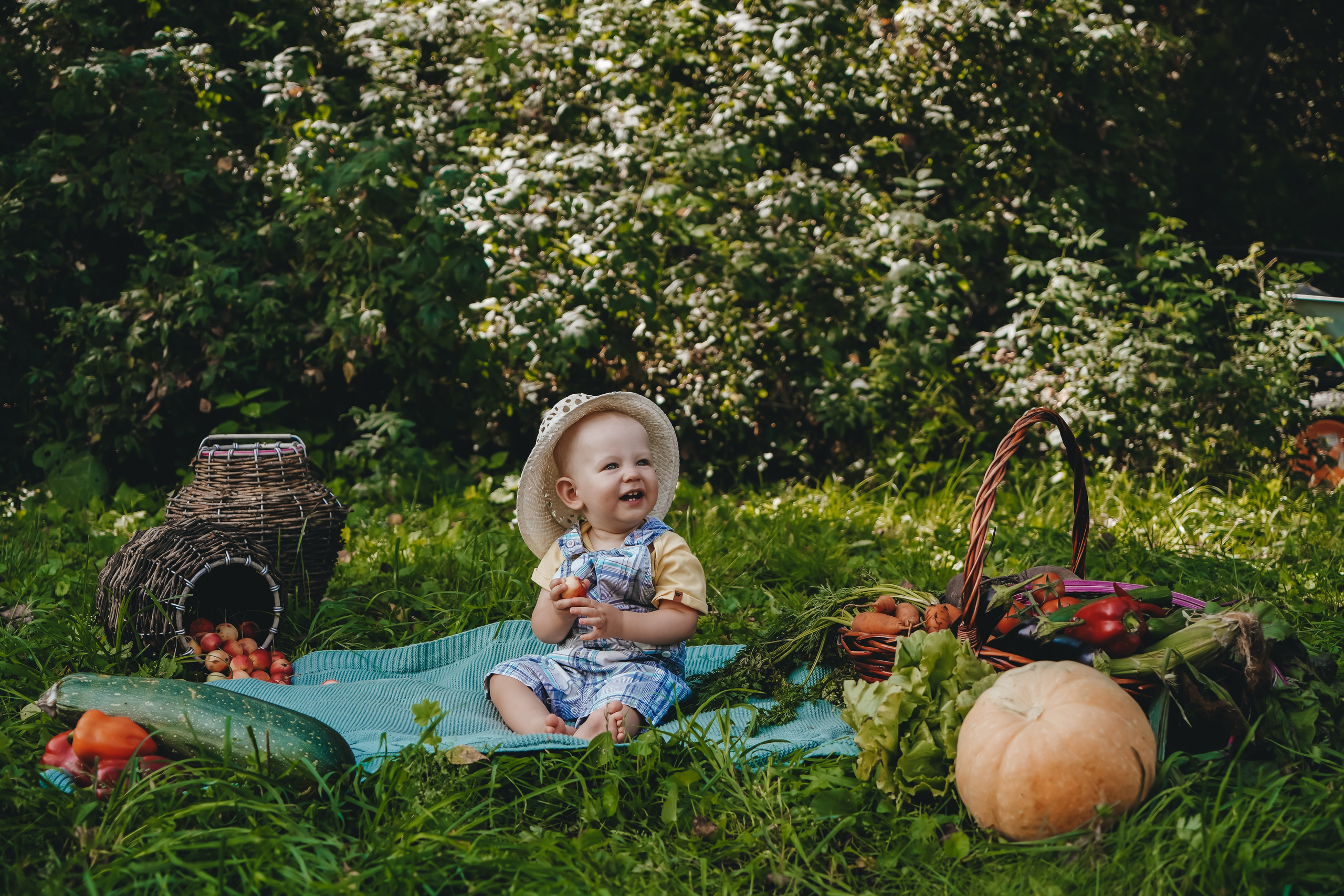 Аня и Рома: маленький фермер. Главная