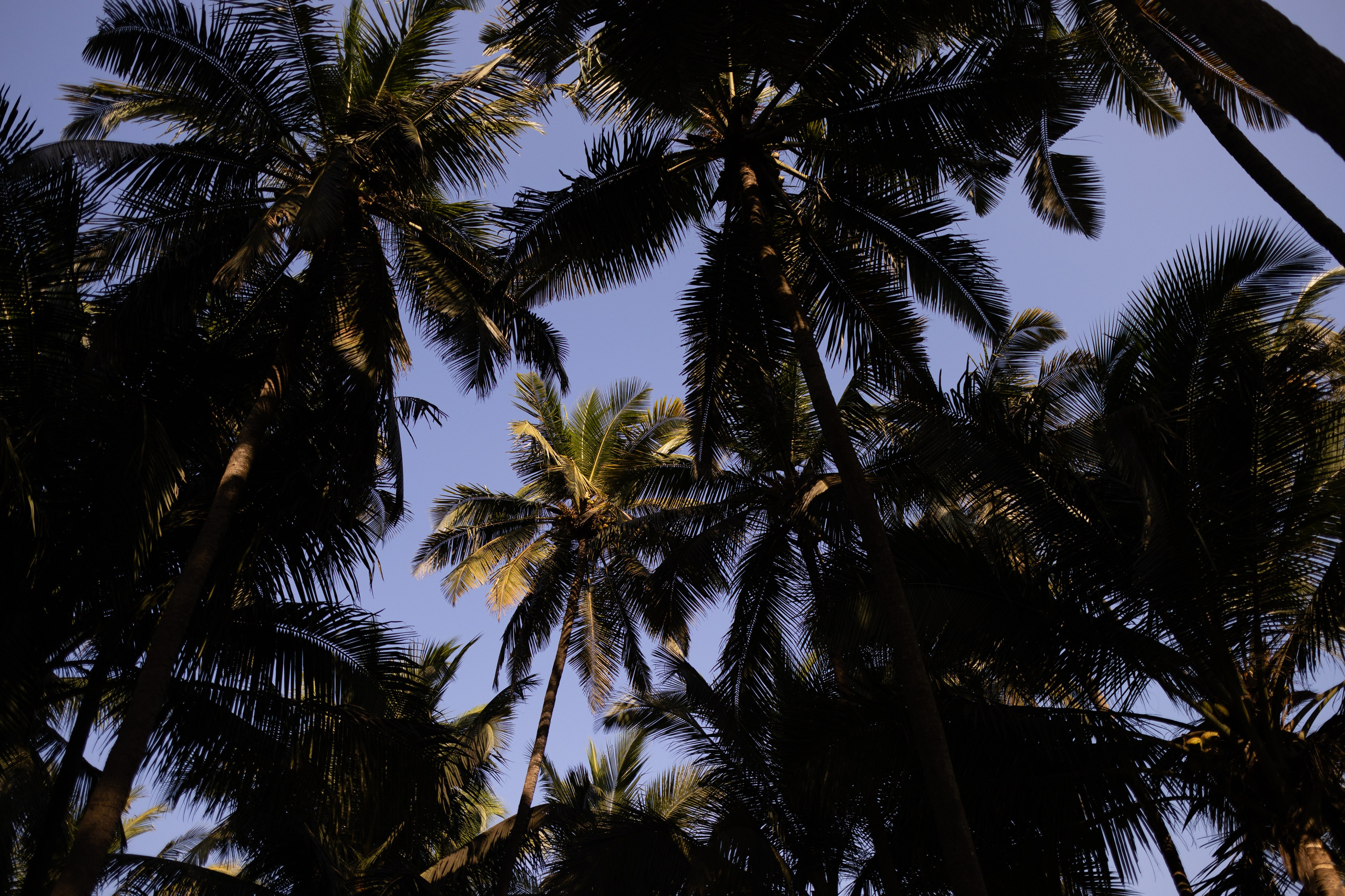 ГОА 2024. Руслан Плахтеев