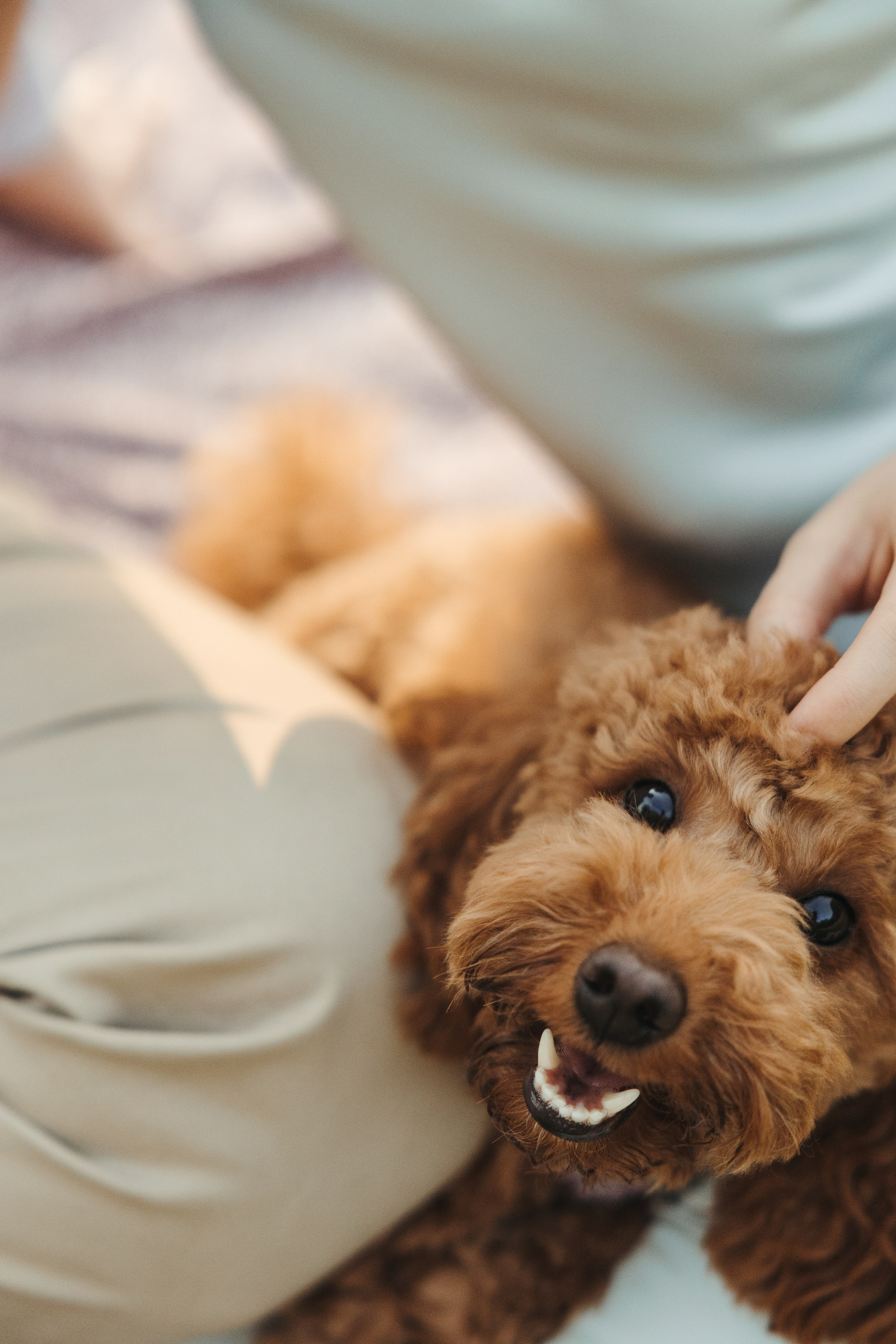 Надя и Федя. Свадебный фотограф Москва Анастасия Храмова