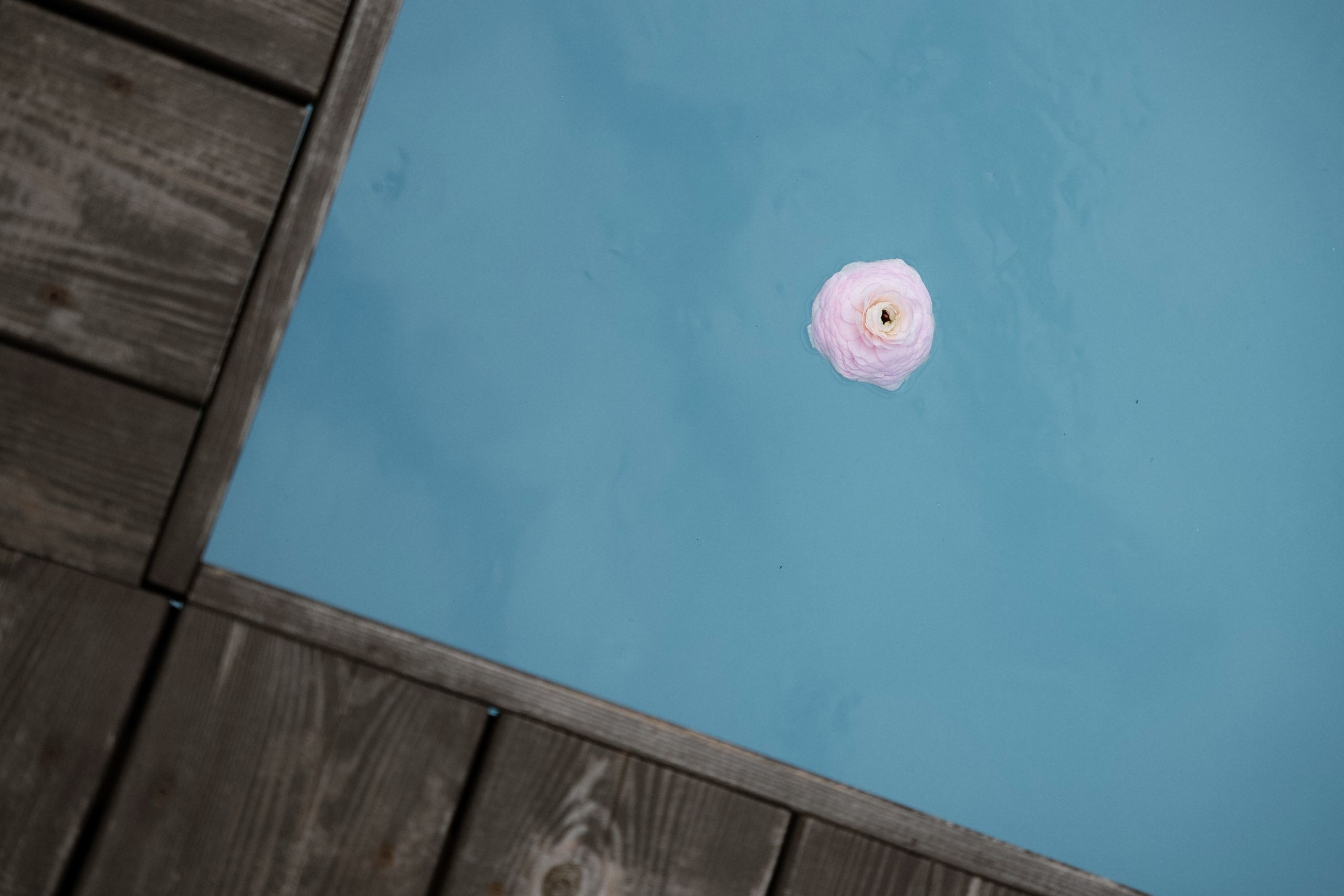 К+А Полный день (сокращено). Семейный и портретный фотограф в Саратове Сахарова Маша