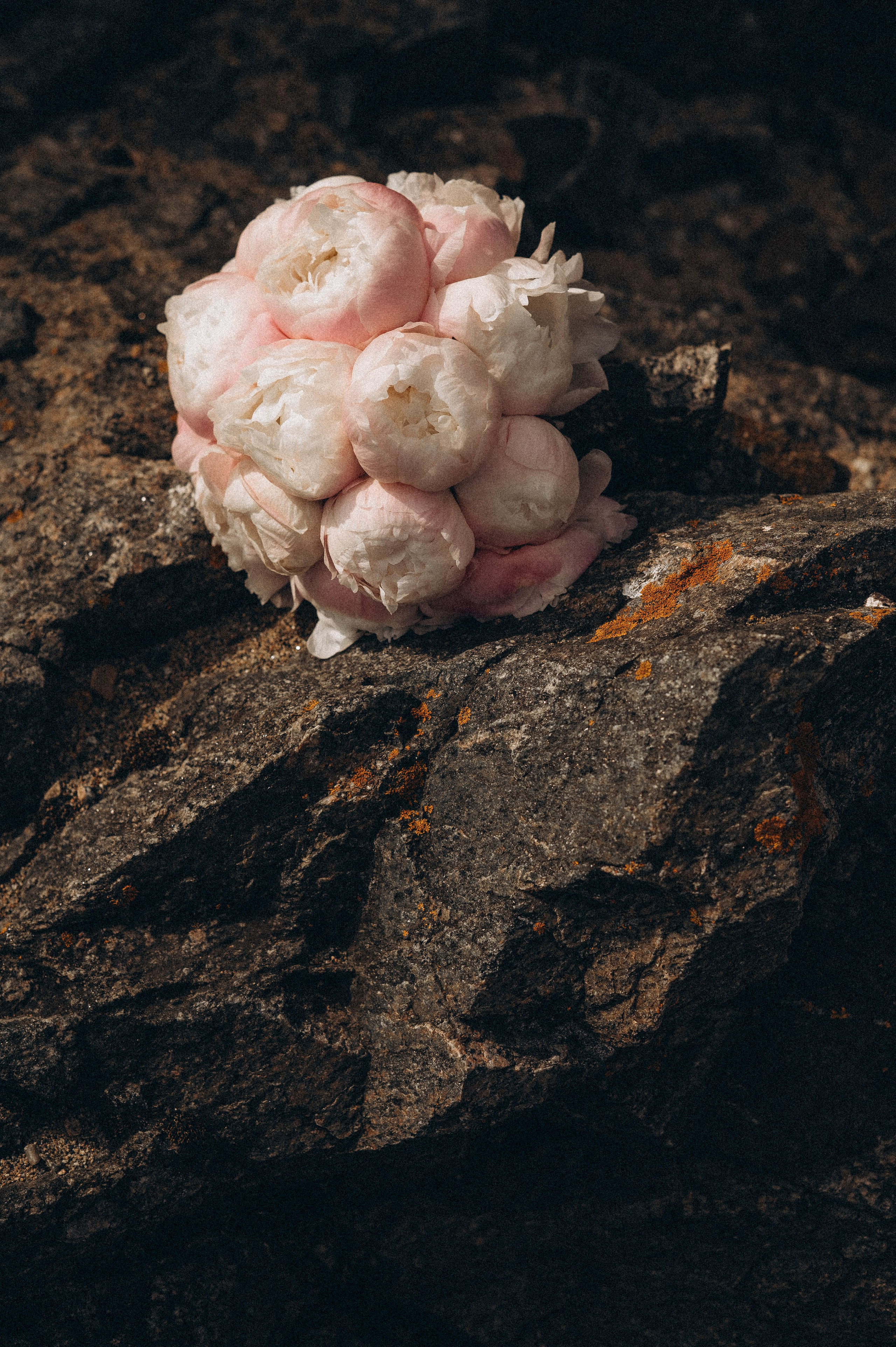 1. Фотограф в Иркутске