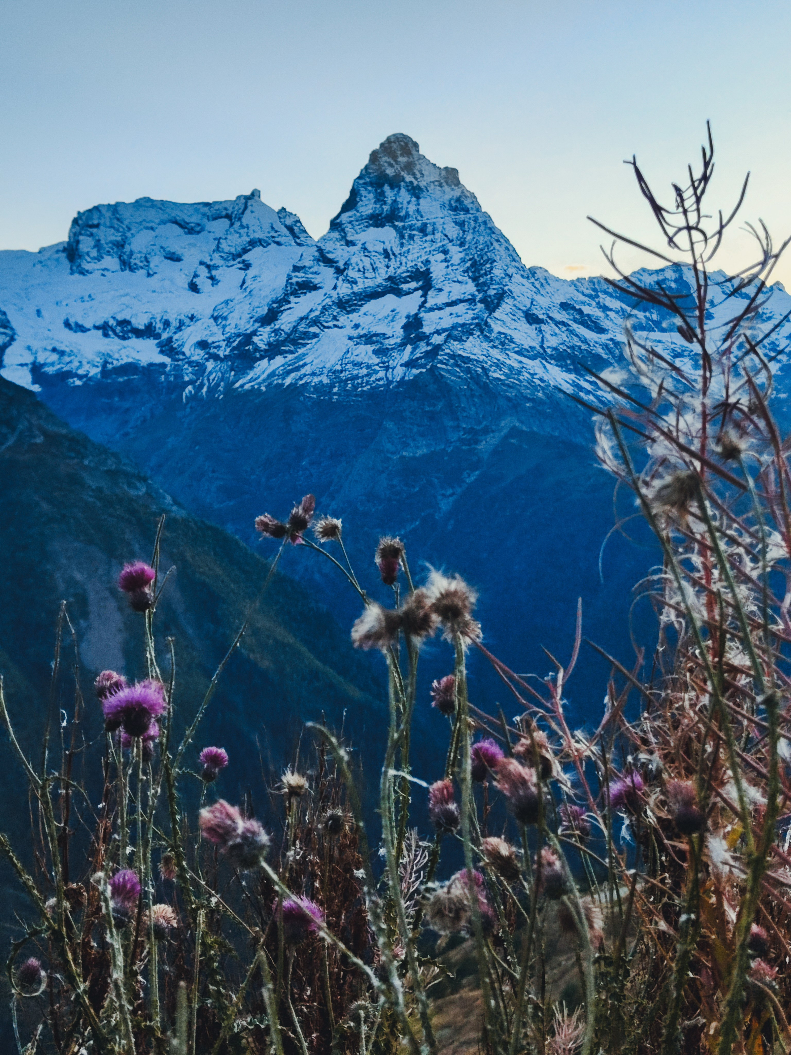 Домбай 2–5 июля. Bytheway