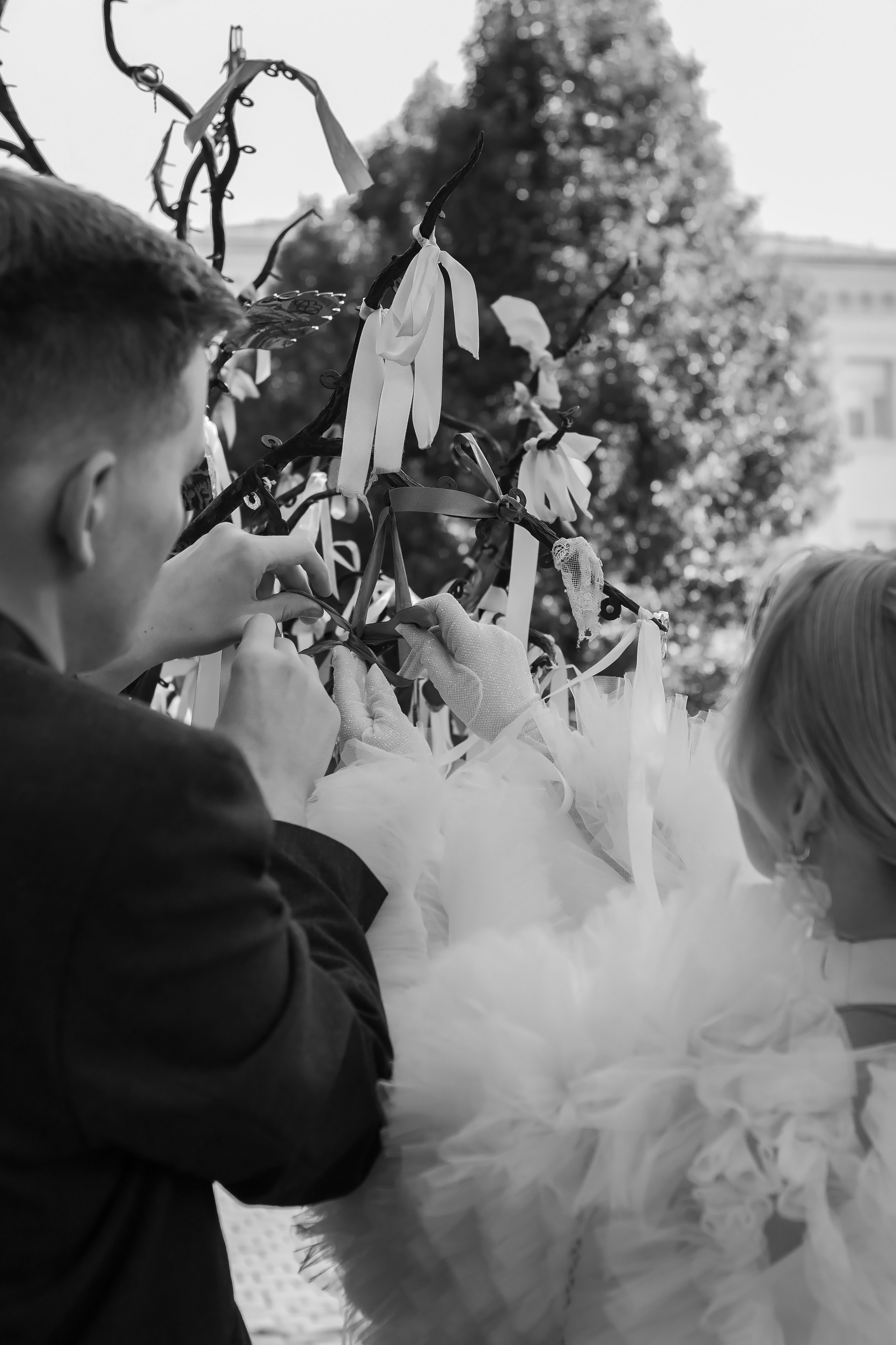 Александр и Софья. Фотограф в Краснодаре. Свадьбы| Репортажи| Портреты