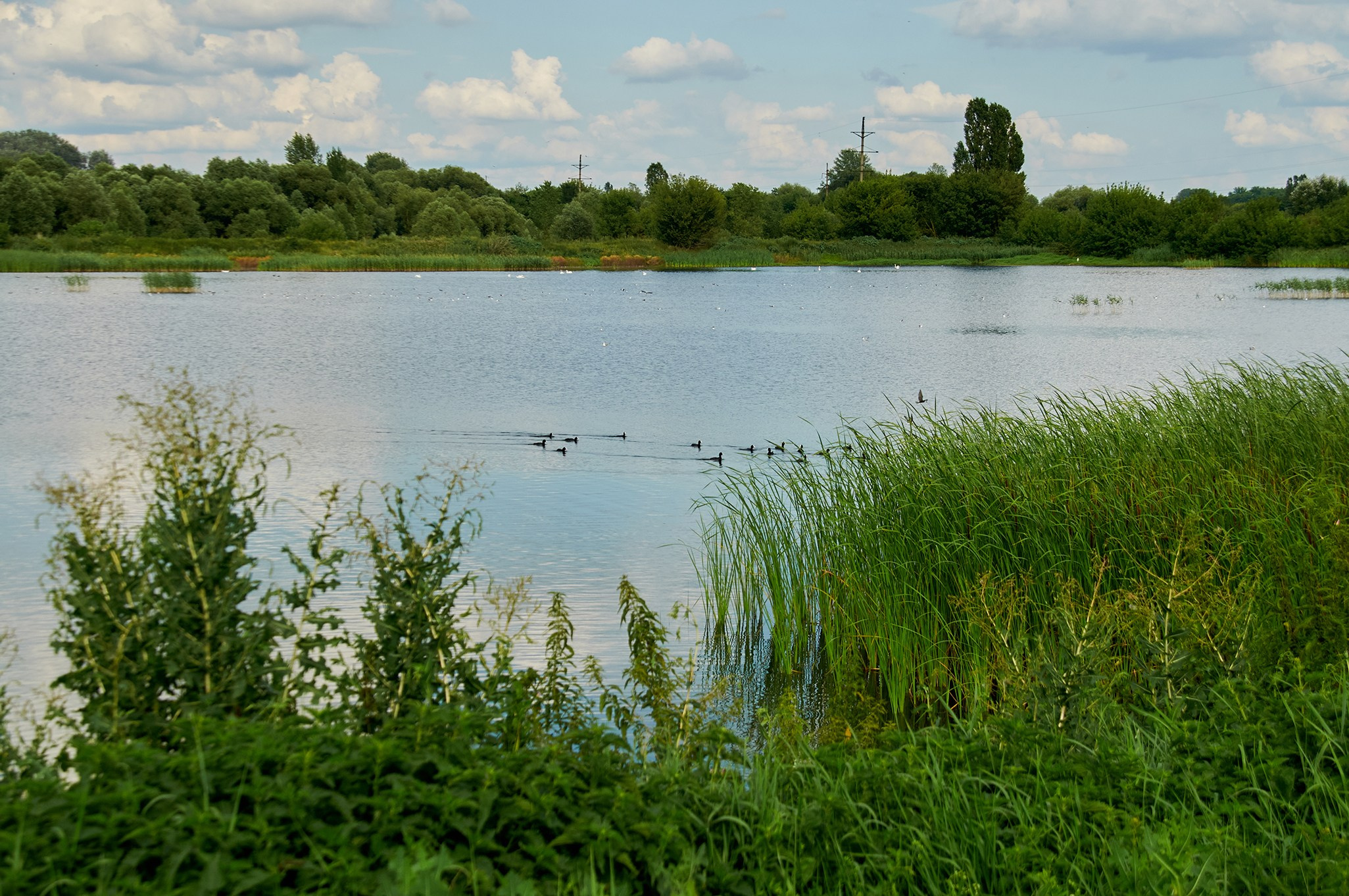 Искусство пейзажа: гармония природы в фотографиях. Координаты красоты — география в фокусе
