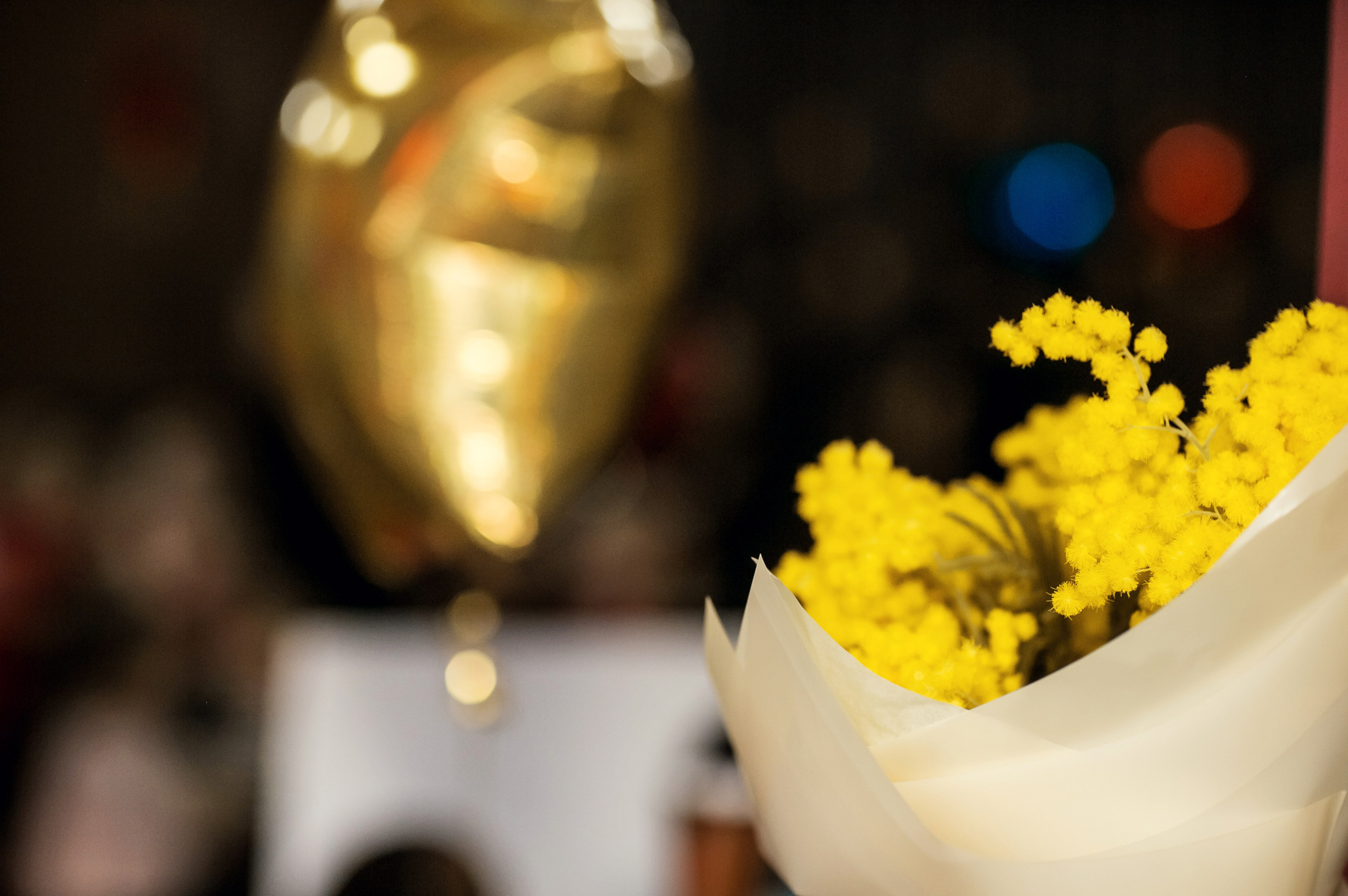 Насте 5 лет. Детский и семейный фотограф в Москве Анна Ипатьева