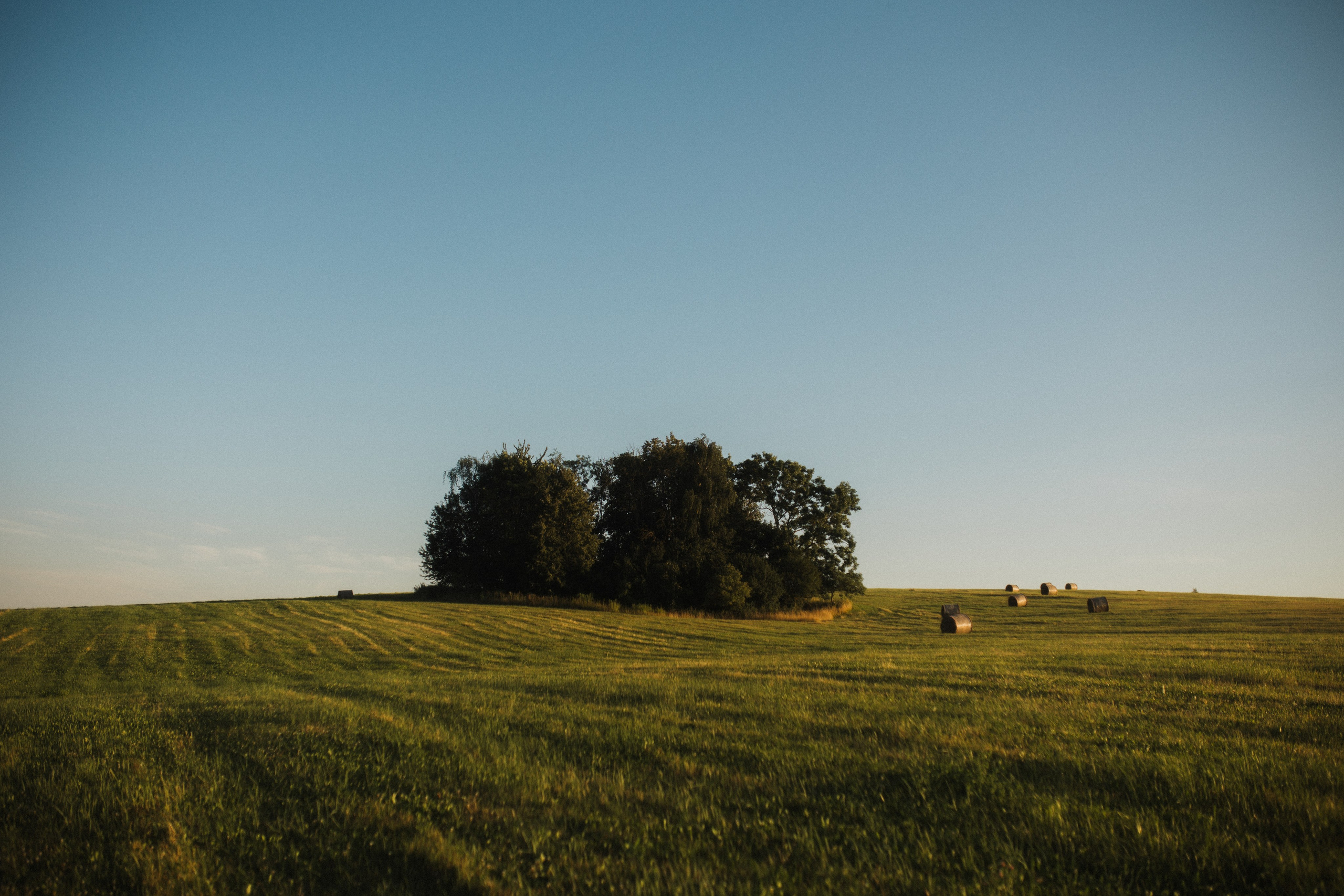 Kseniya. Свадебный и портретный фотограф в Калининграде и Москве Марк Юдинцев