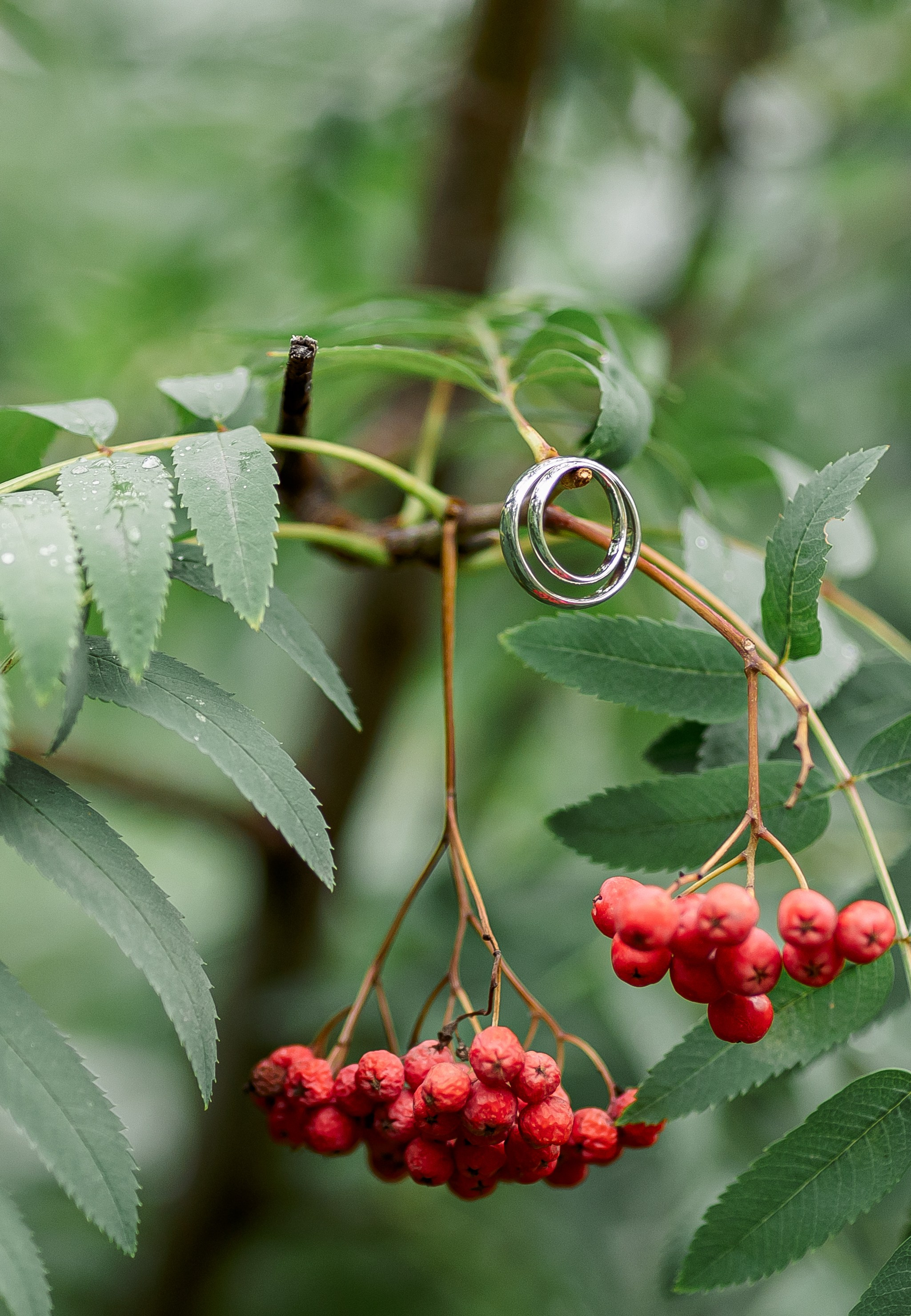 Свадьба Екатерина и Александр. Свадебный и семейный фотограф в Челябинске Юлия Ишимова