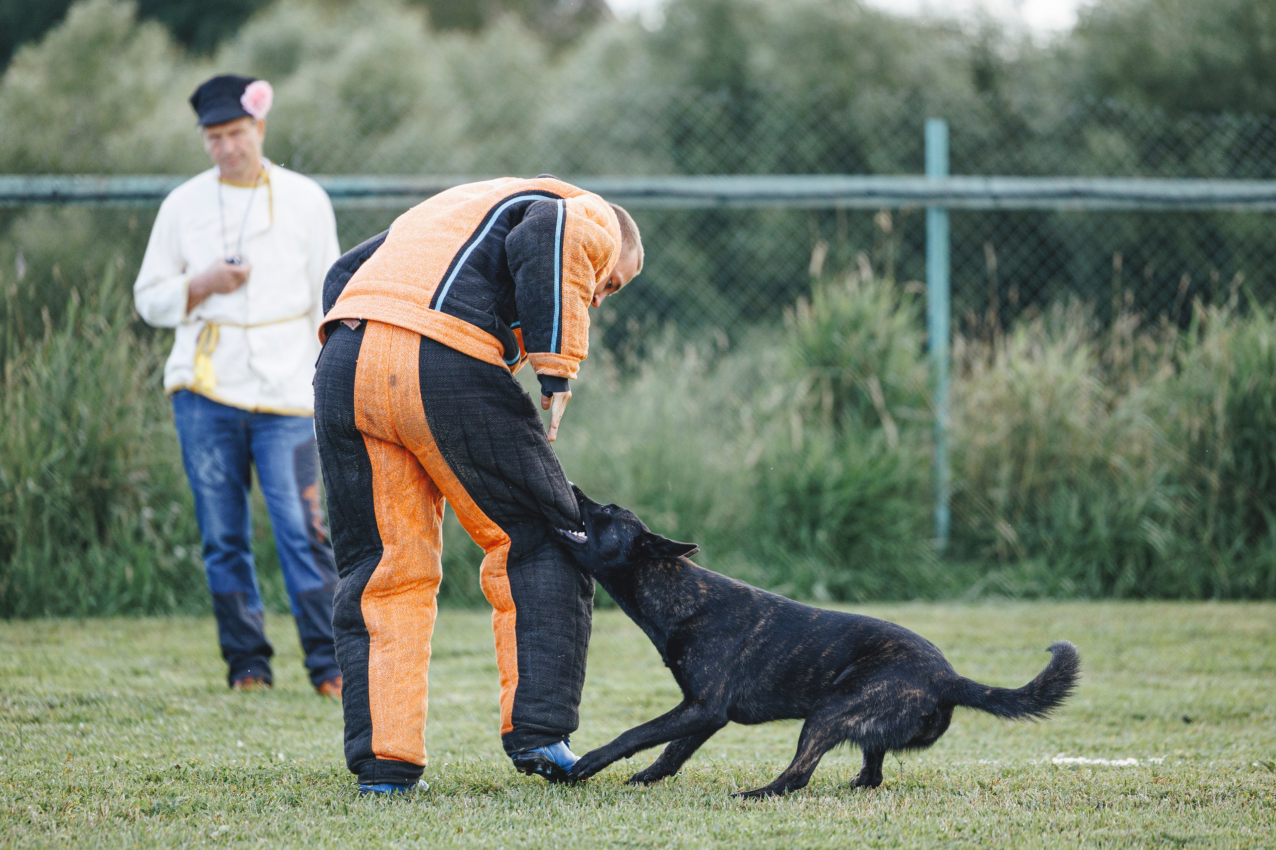 08.08.25-10.08.25 ЧР по мондьорингу г. Вологда. Фотограф-анималист Анна Маринич