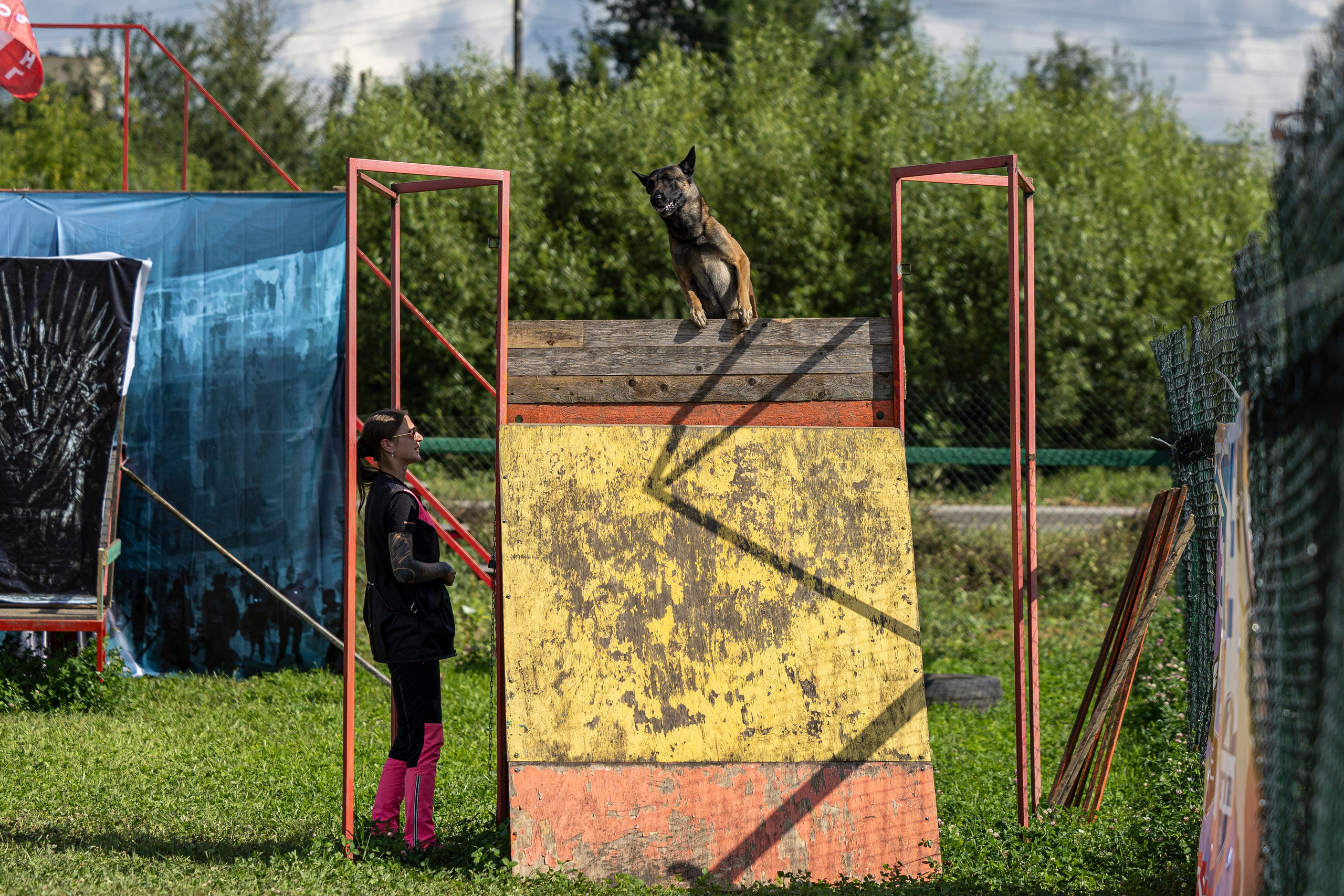 Соревнования по Мондьорингу г. Вологда 10-11.08.2024. Фотограф-анималист Анна Маринич