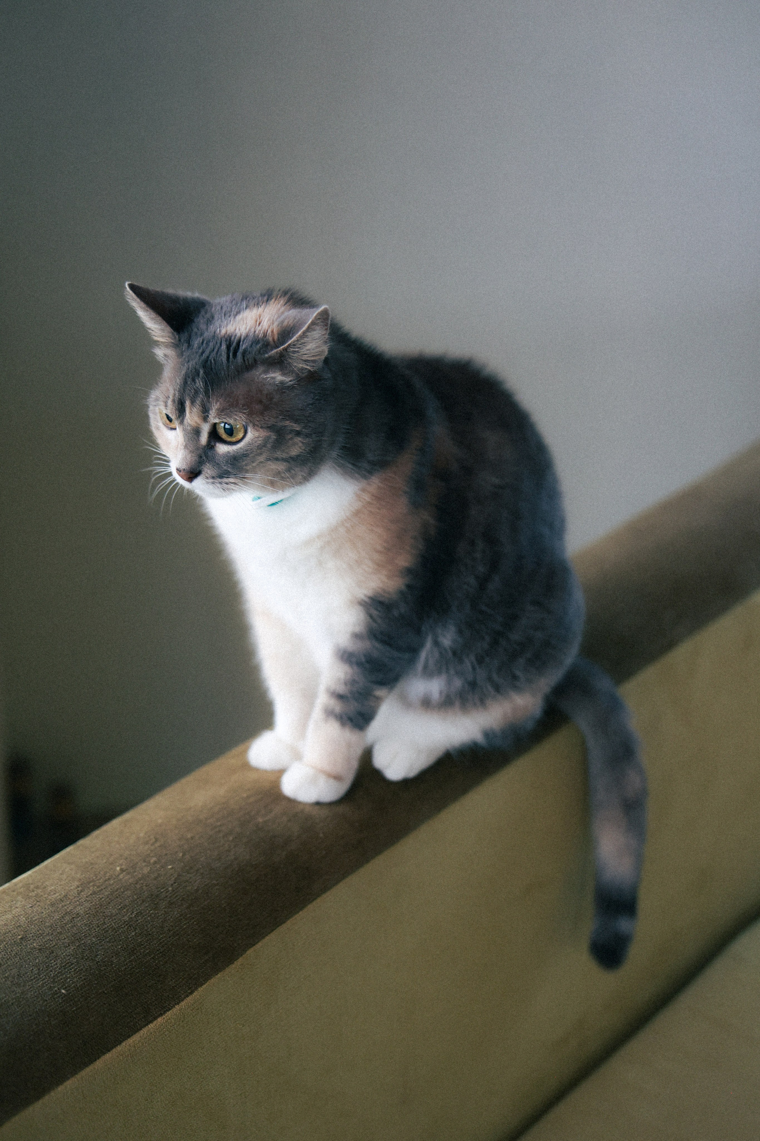 Валя Саша и Милана. Фотограф НатаФото (Наталья Яковенко) Дмитров Москва Питер