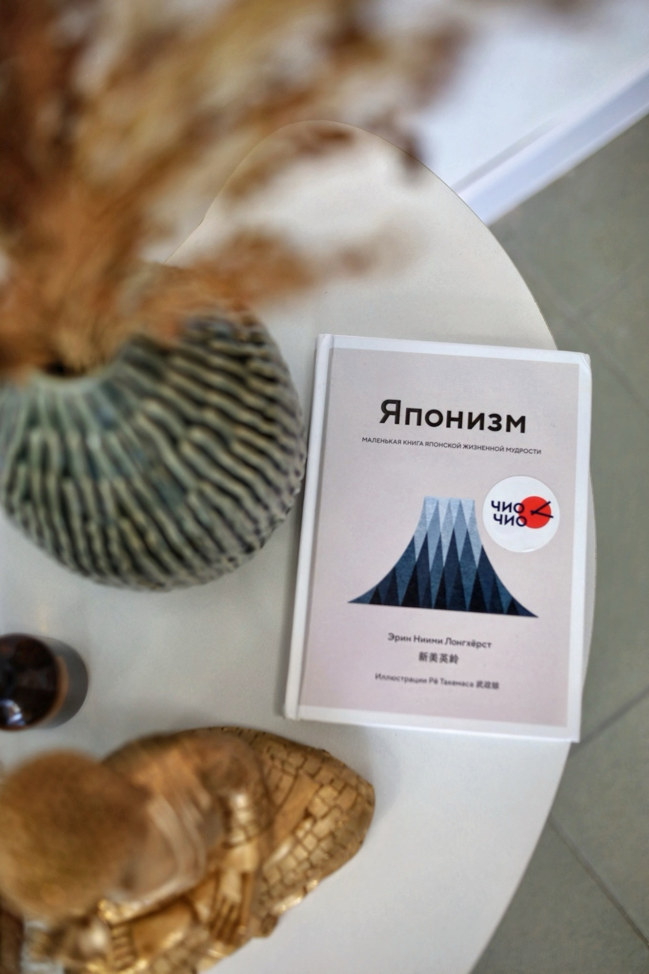 ЧИО ЧИО ОТКРЫТИЕ. Репортажный фотограф Анапа