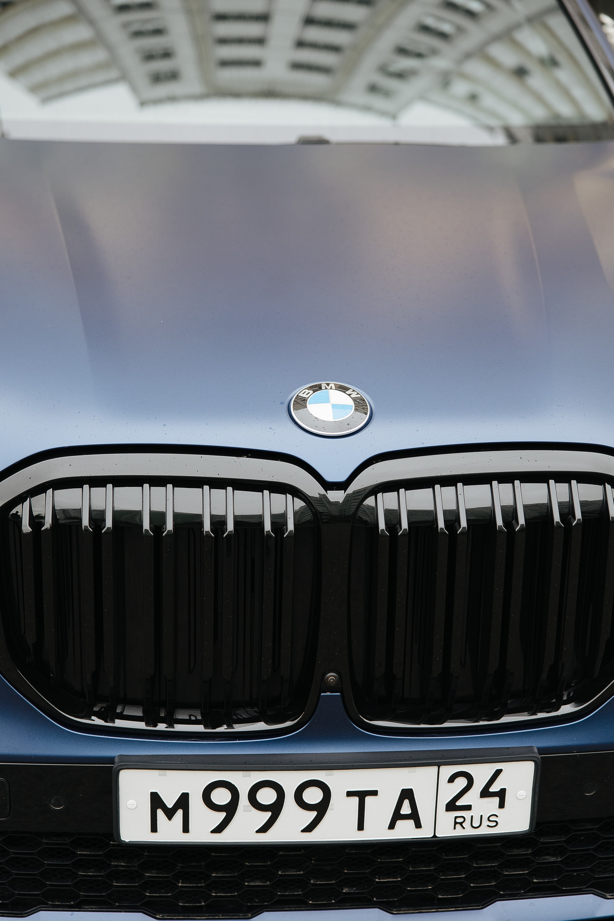 Шах и Ирада. Фотограф в Красноярске Надежда Воскресенская