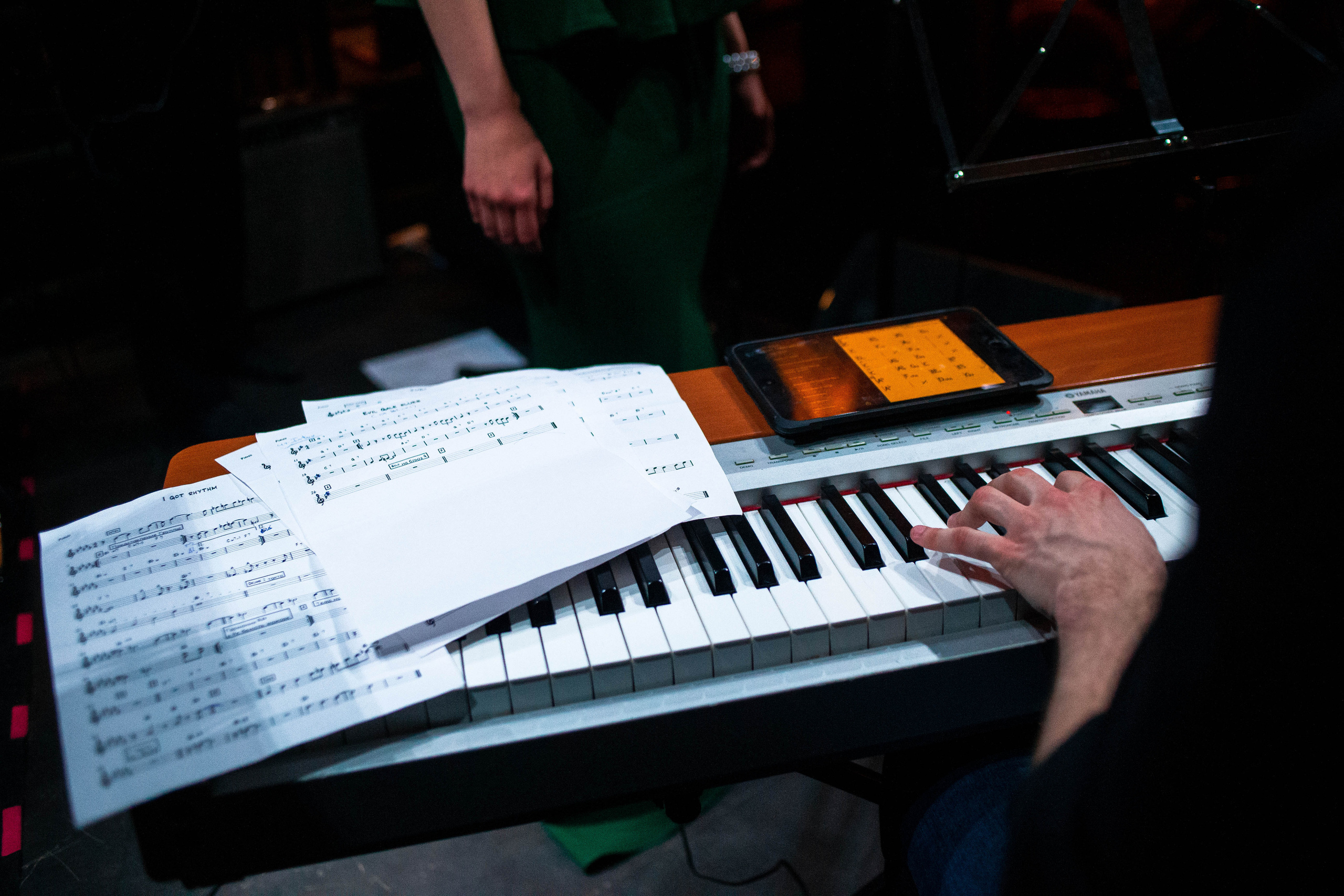 100% JazzBand. Фотограф в Москве и любой точке земного шара Алёна Вялова (Чулкова)