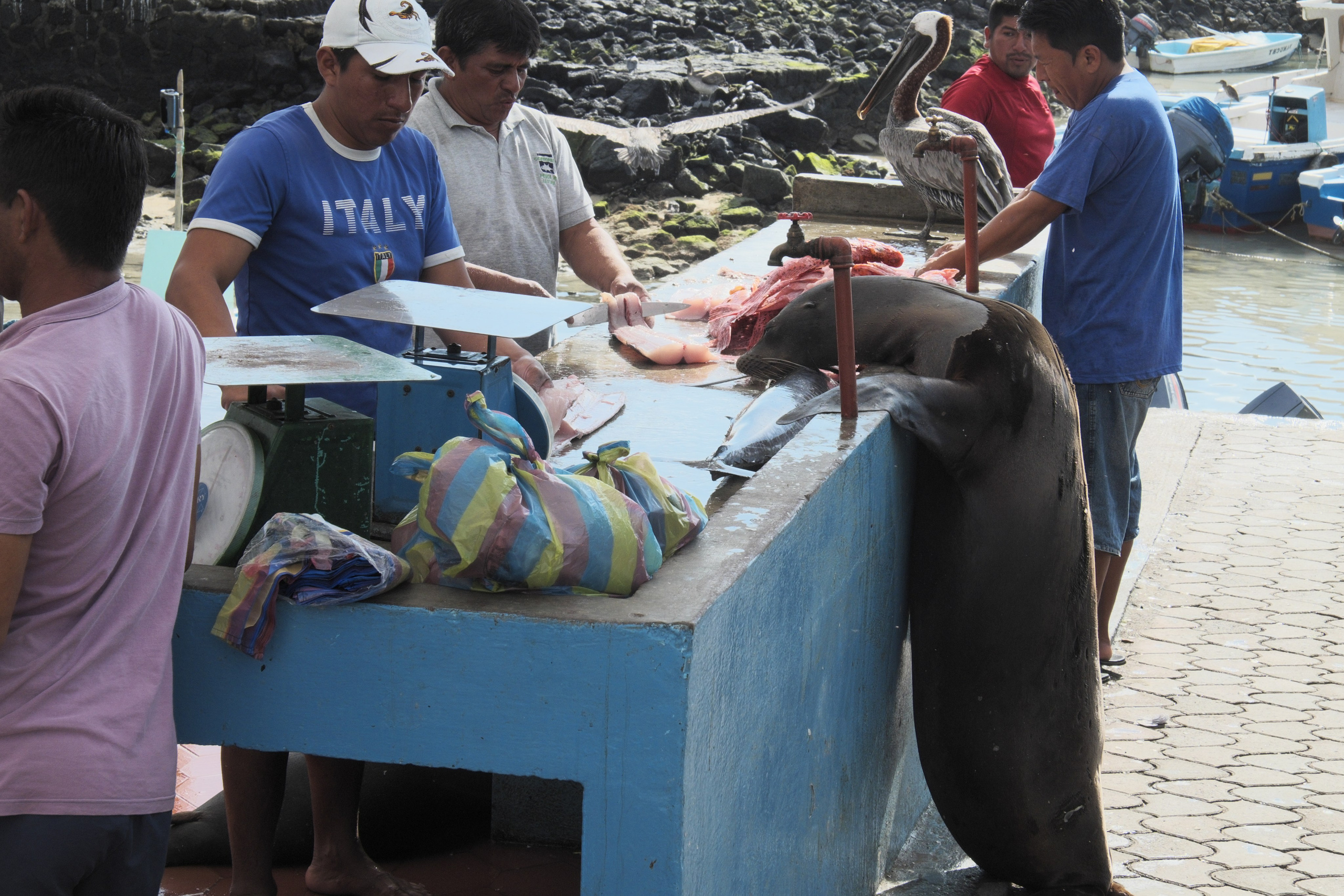 УЛИЦЫ. ПОБУДЬ ЗДЕСЬ И ЦЕЛЕЕ БУДЕТ ЭТОТ МИР