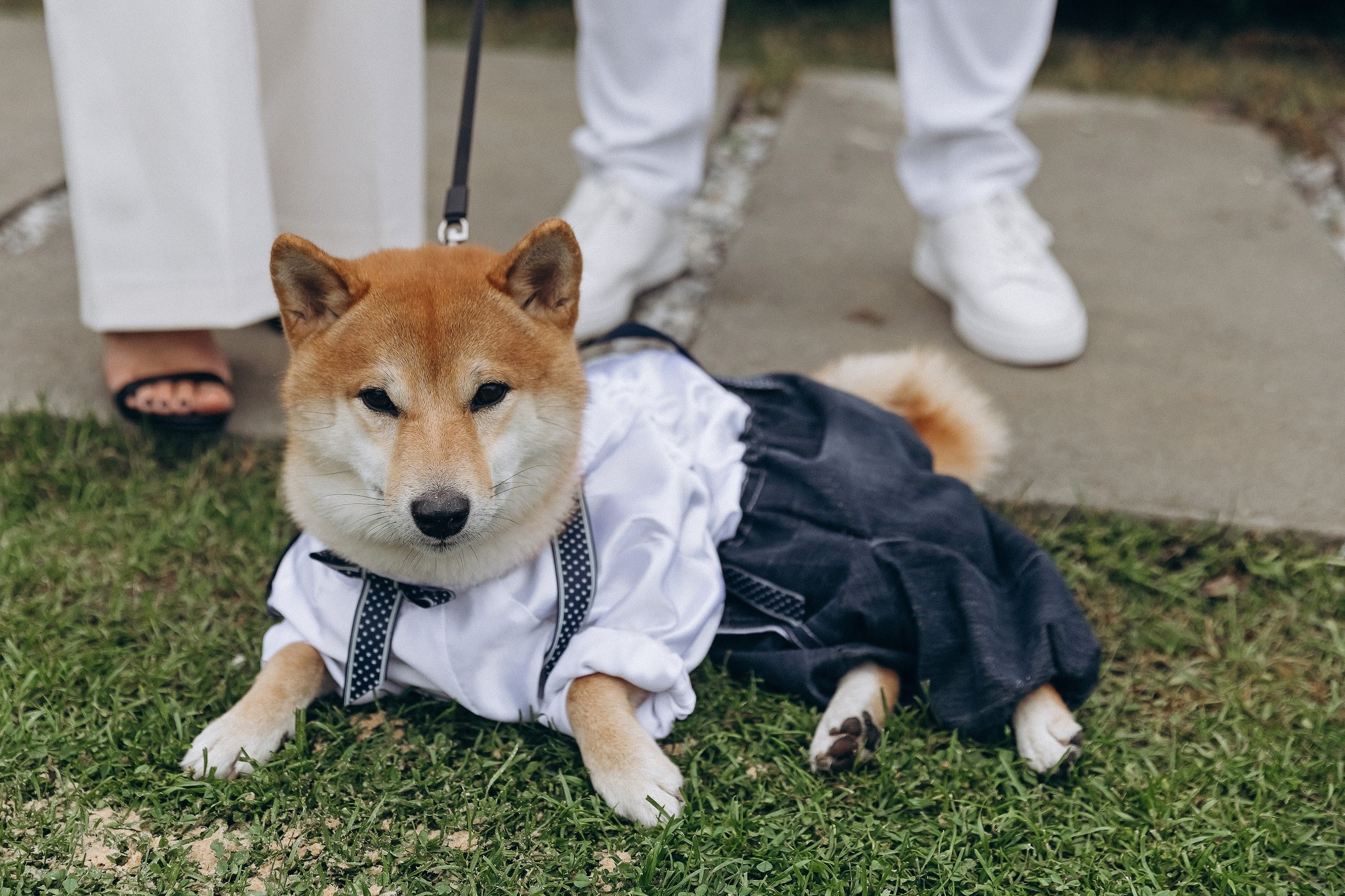14.07 София и Никита. Свадебный организатор Екатеринбург