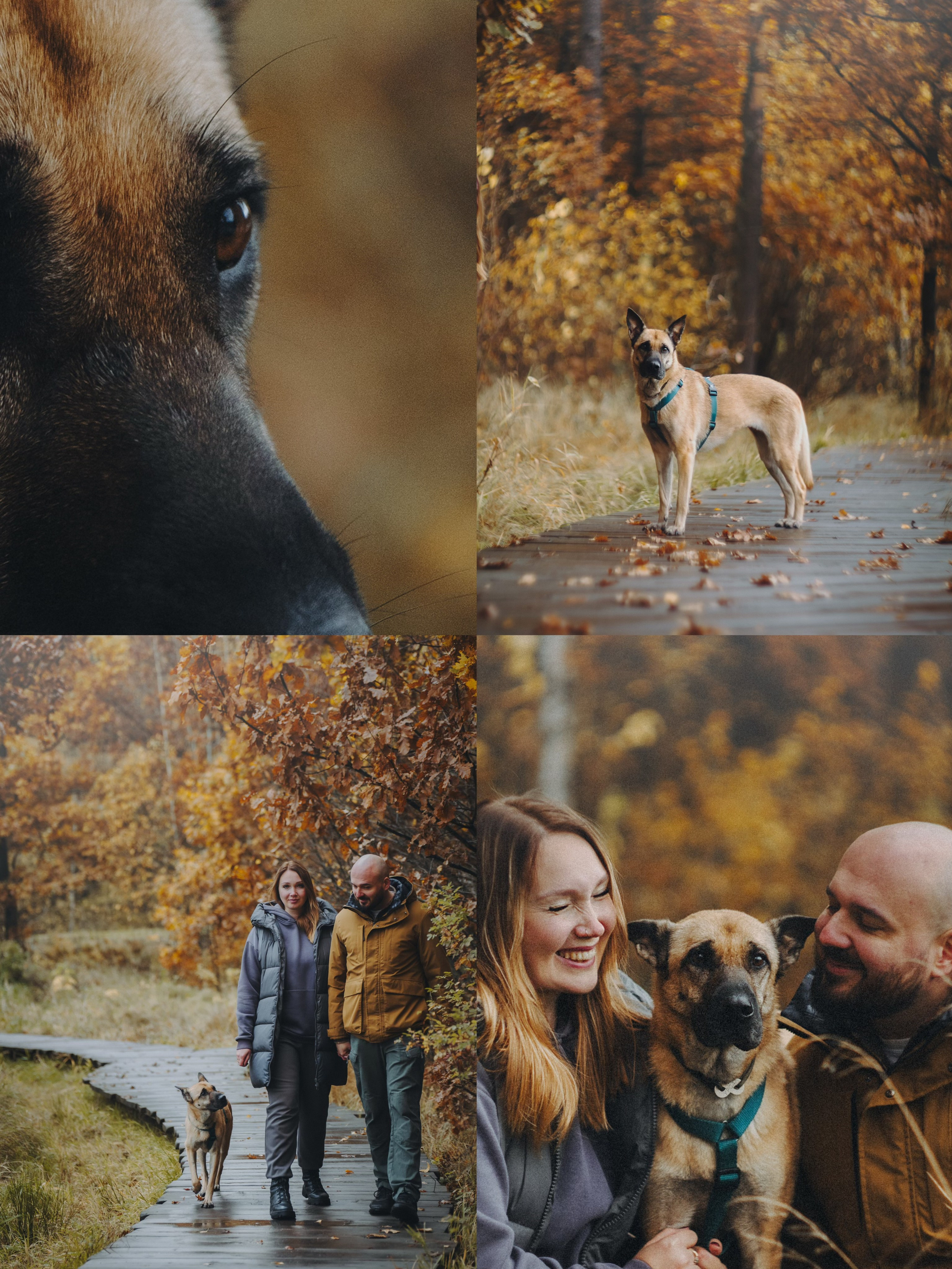 Наталия, Иван и Урса. Фотограф анималист в Москве и Санкт-Петербурге Свиридова Анна
